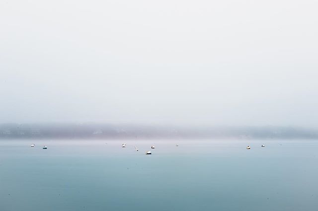 Foggy morning #marthasvineyard