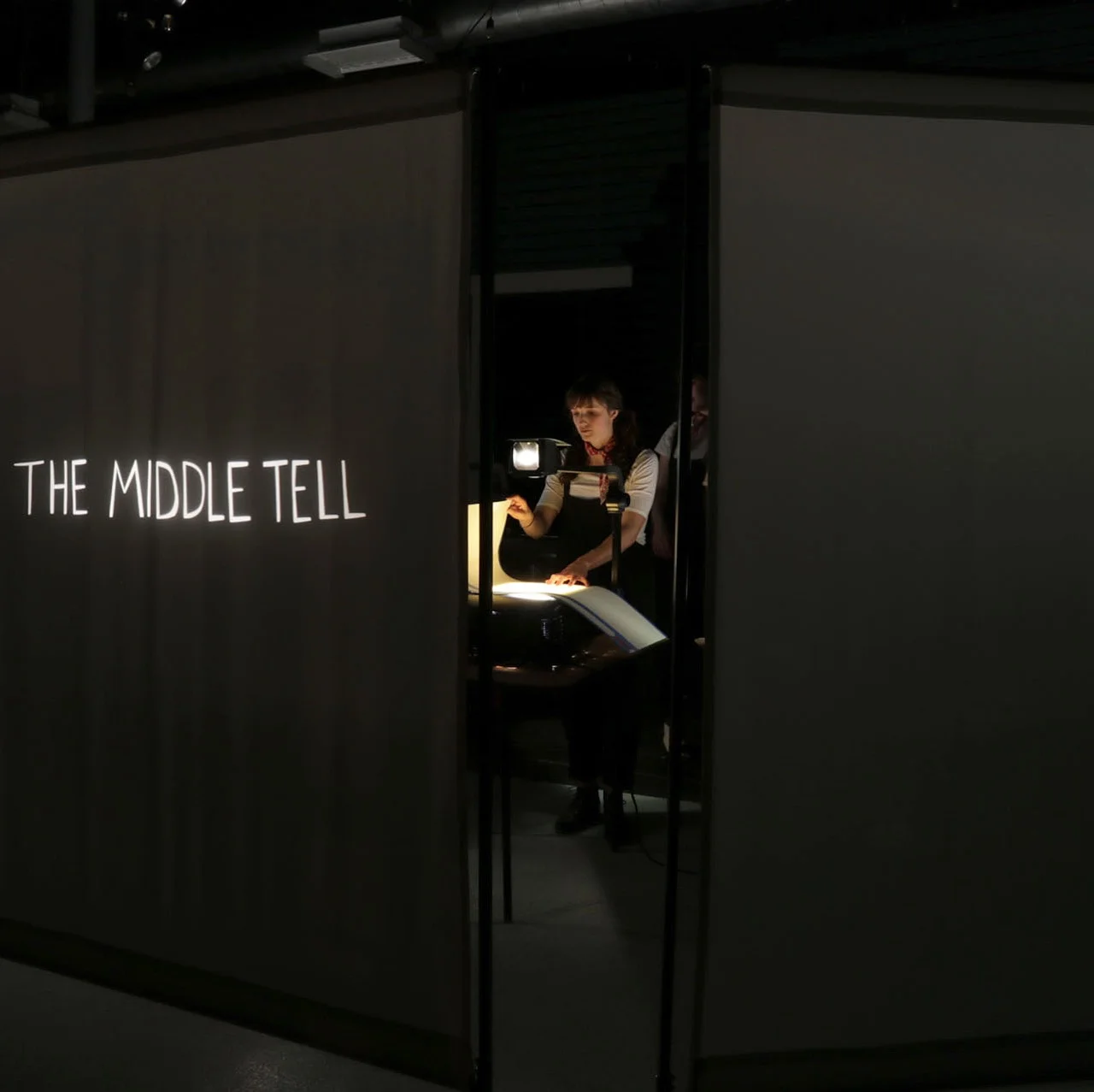   The Middle Tell  (detail), shadow puppet performance, 00:25:00, 2018   