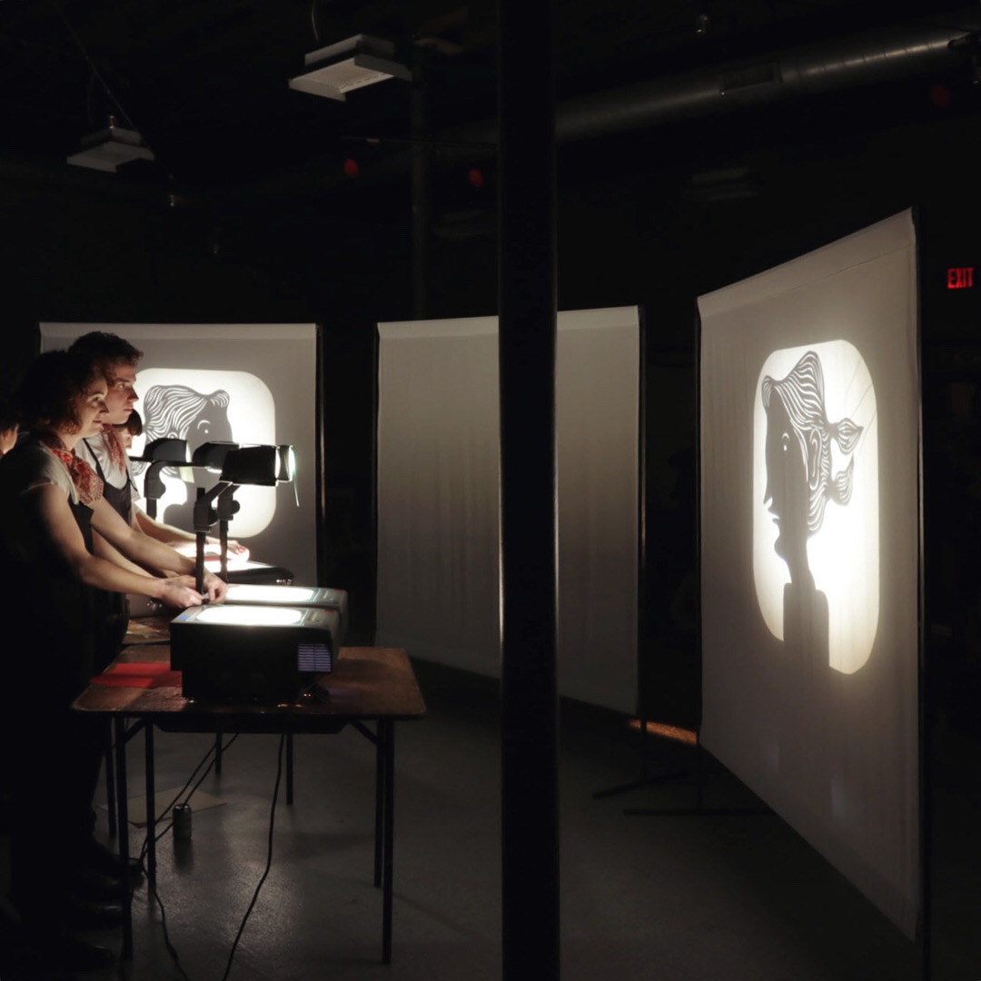   The Middle Tell  (detail), shadow puppet performance, 00:25:00, 2018   