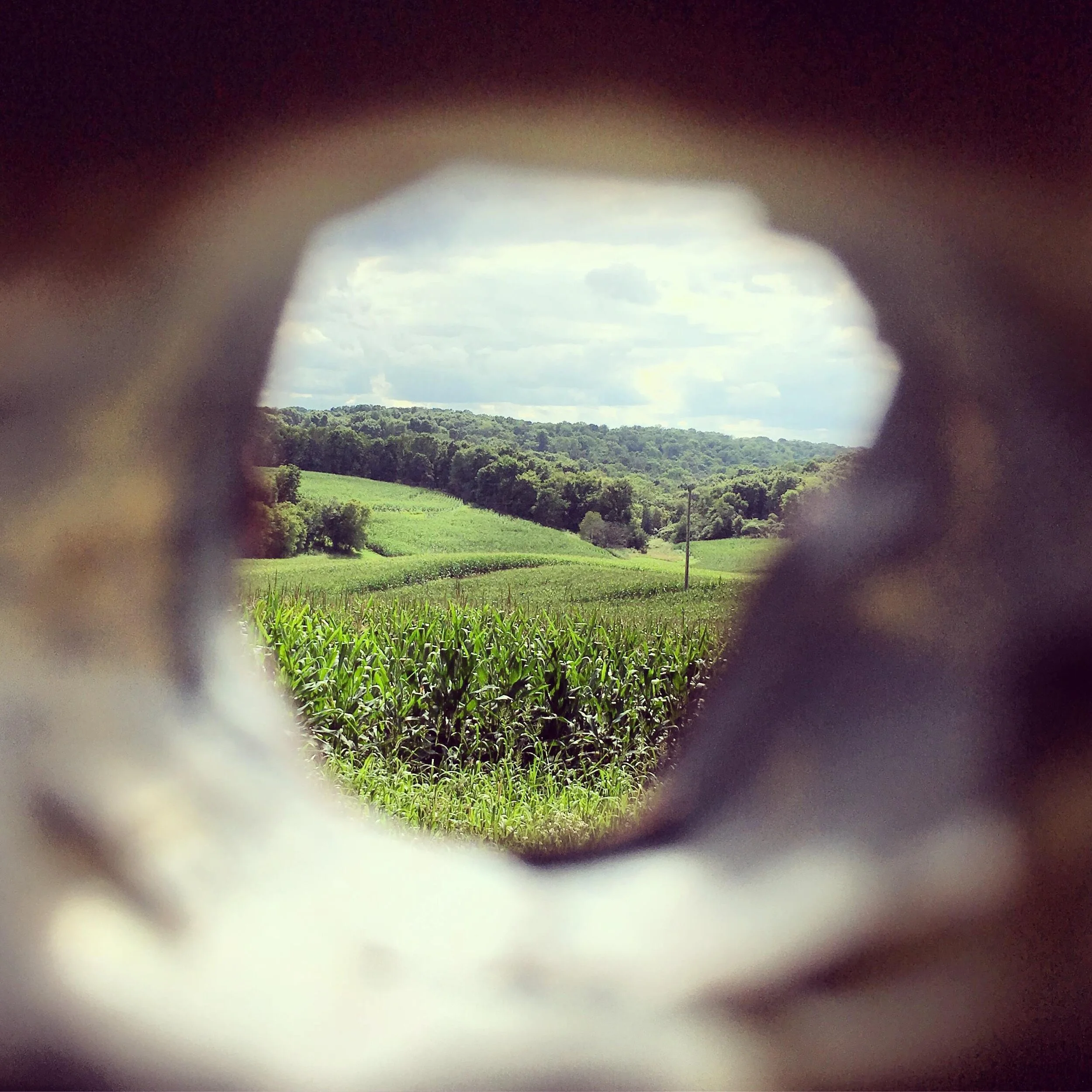   FRENND WINNUR , puppet’s view, dimensions variable, 2019   