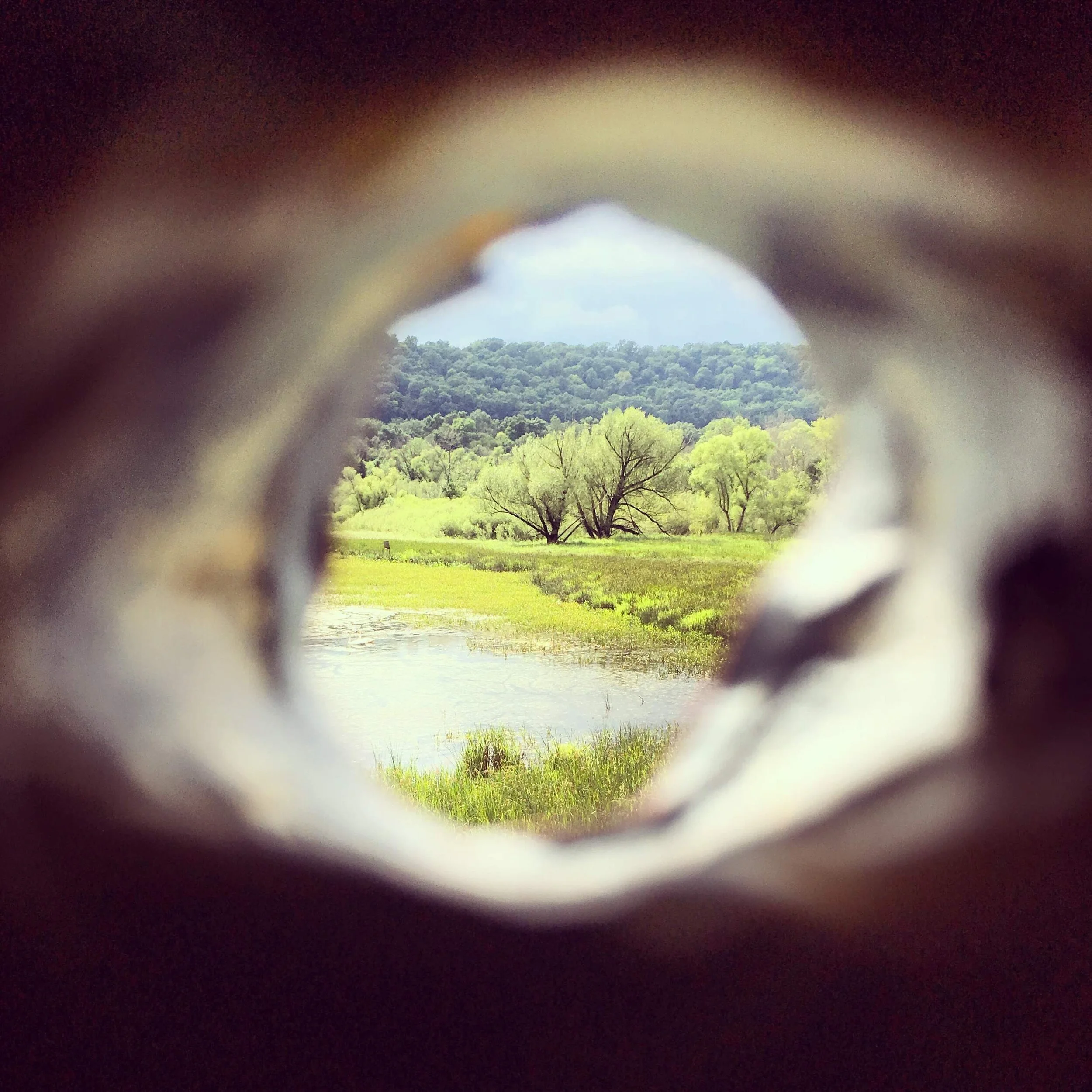   FRENND WINNUR , puppet’s view, dimensions variable, 2019     