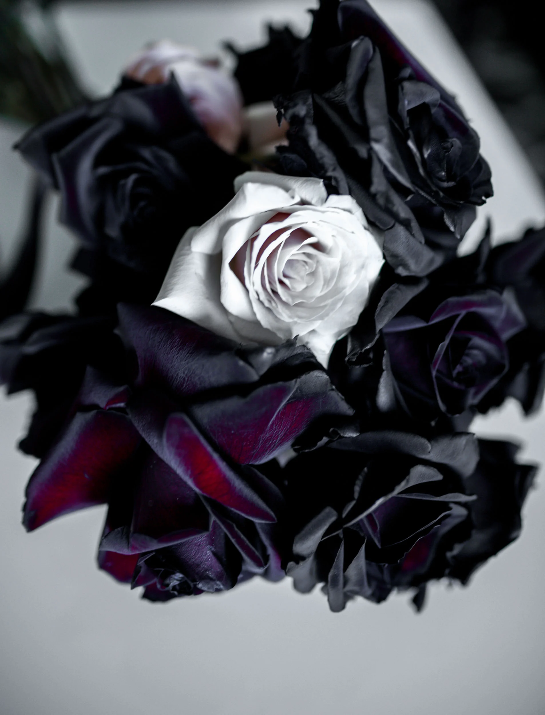White Vine Photography - melbourne - city - fashion -wedding - luxe - classic-metropolis - photographers - (21 of 106).jpg