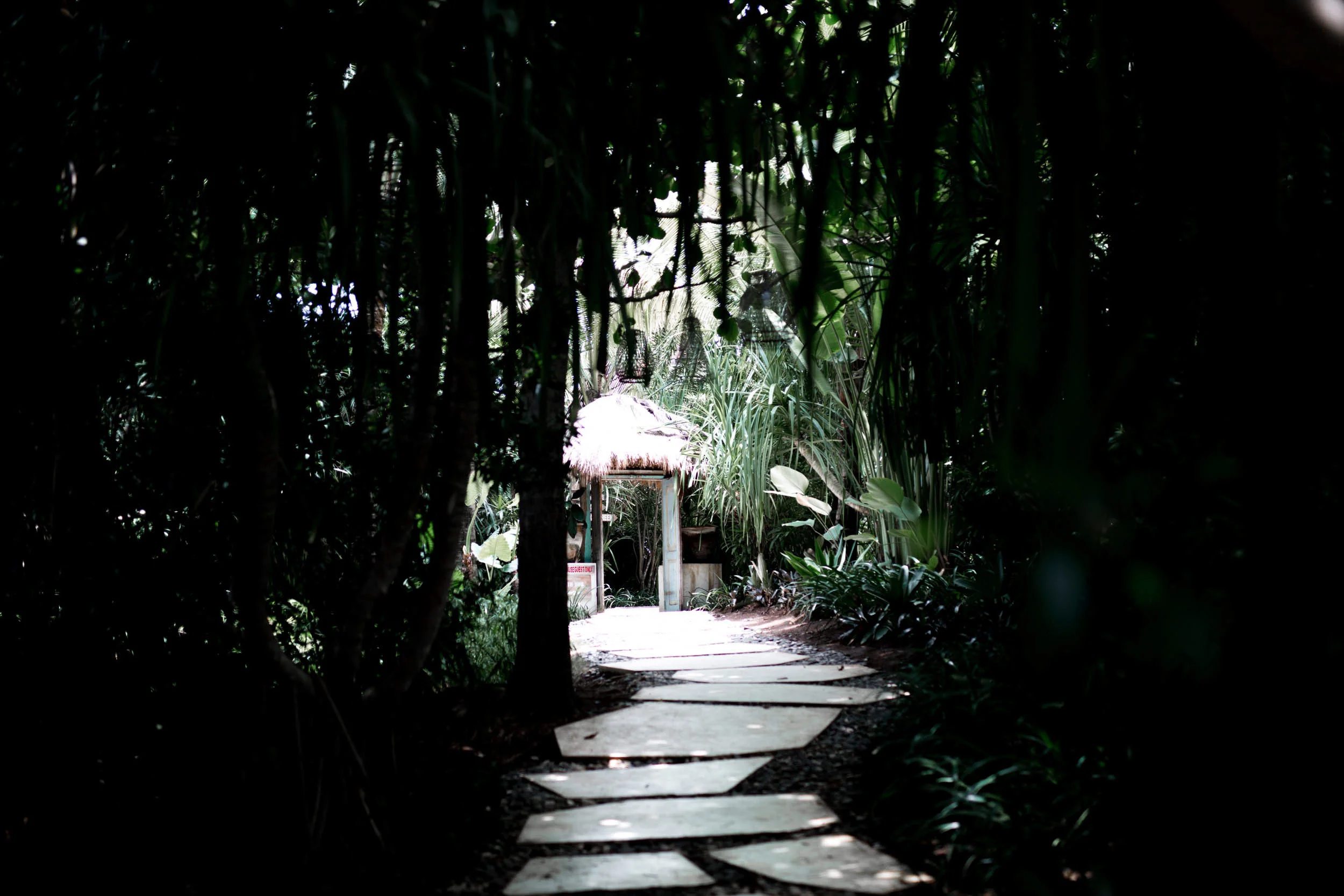 White Vine Photography - Two photographrs - Bali - Destination - boho - wedding - designer - Made with love bridal - gown - (3 of 100).jpg