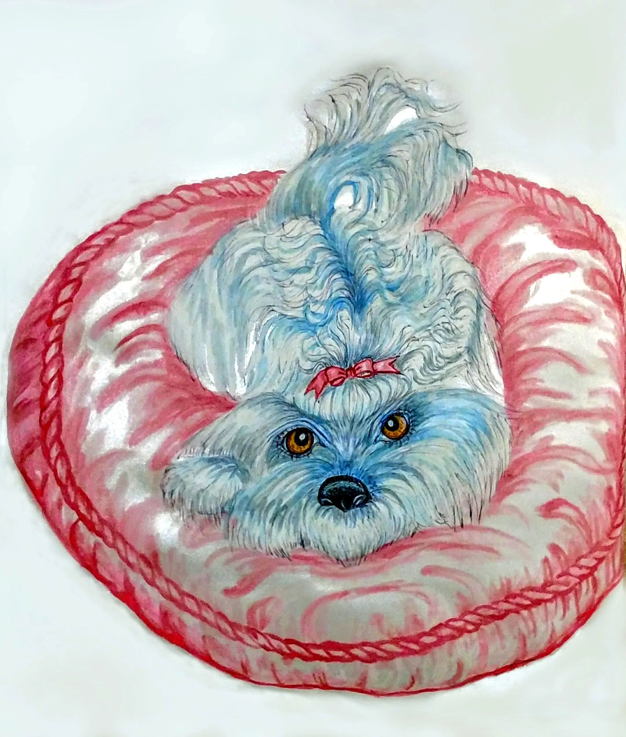 Pet Portrait Poodle.jpg