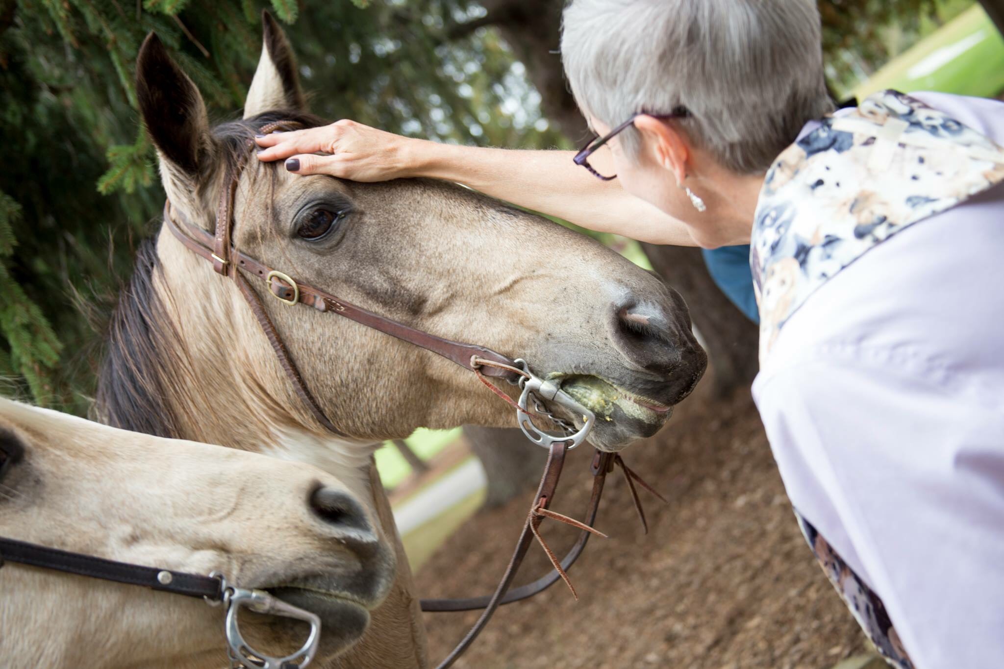 horse and ginny.jpg