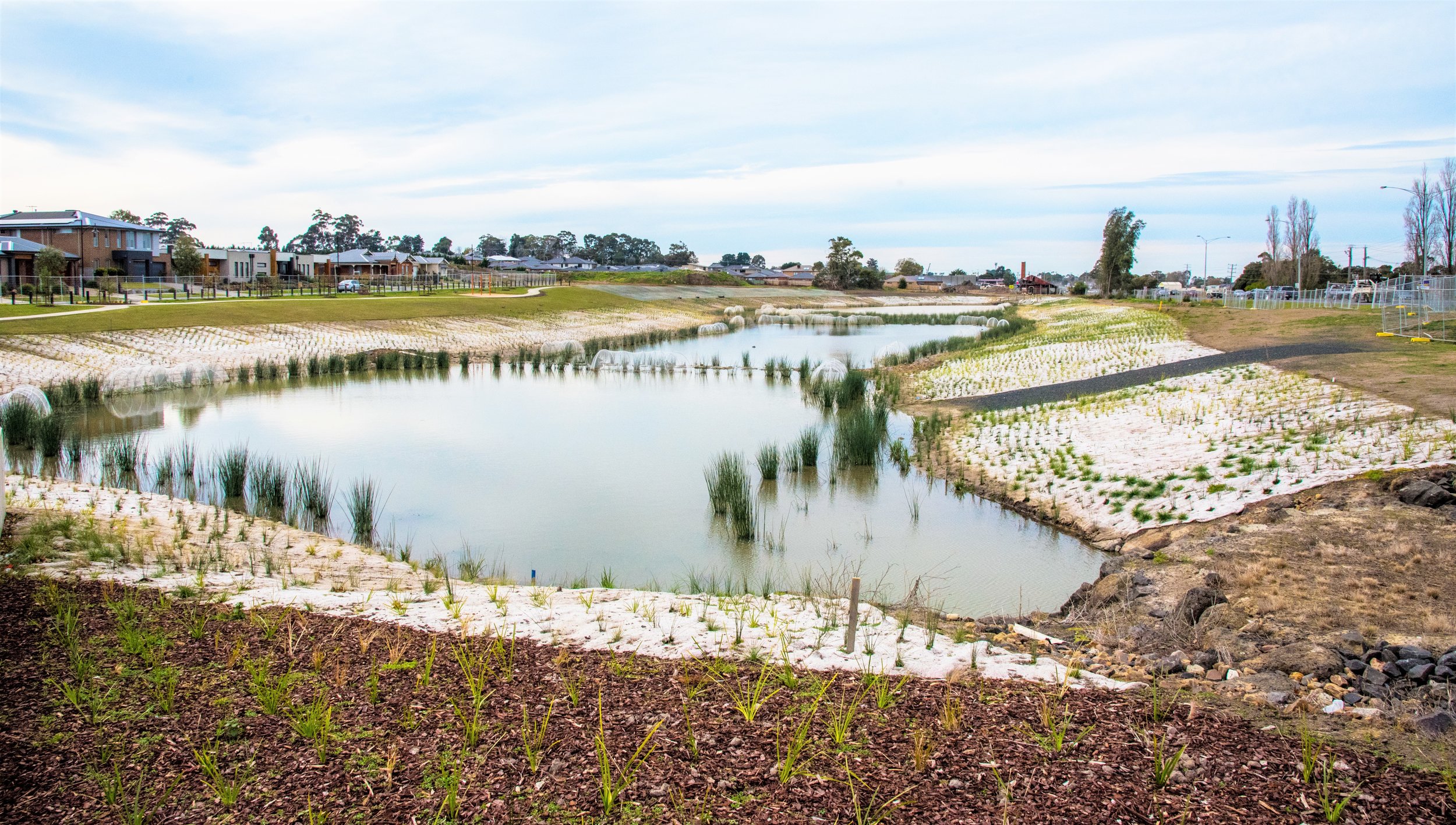 Wetlands, Retarding Basins & Streamworks — Max Bright and Sons