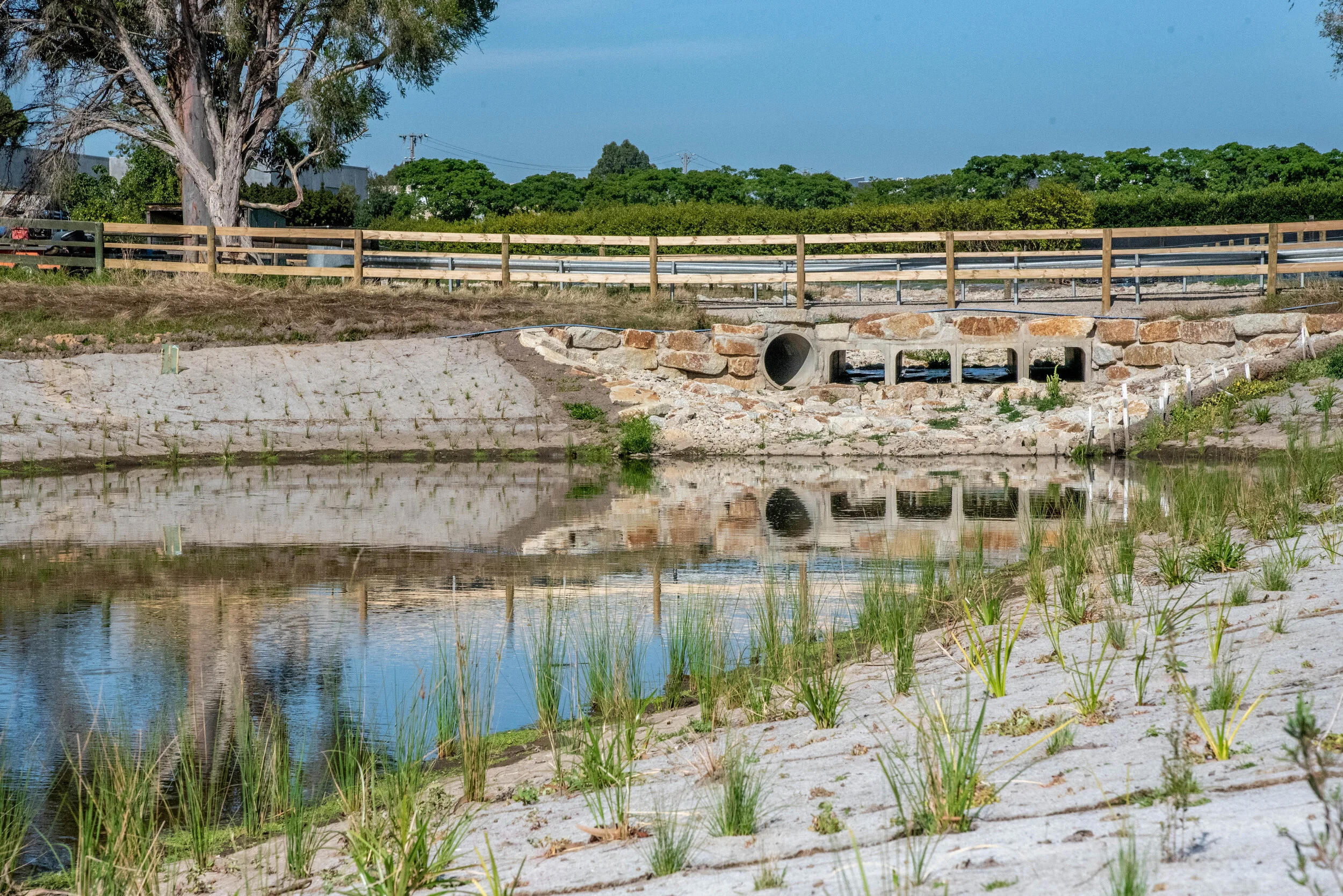Wetlands, Retarding Basins & Streamworks — Max Bright and Sons