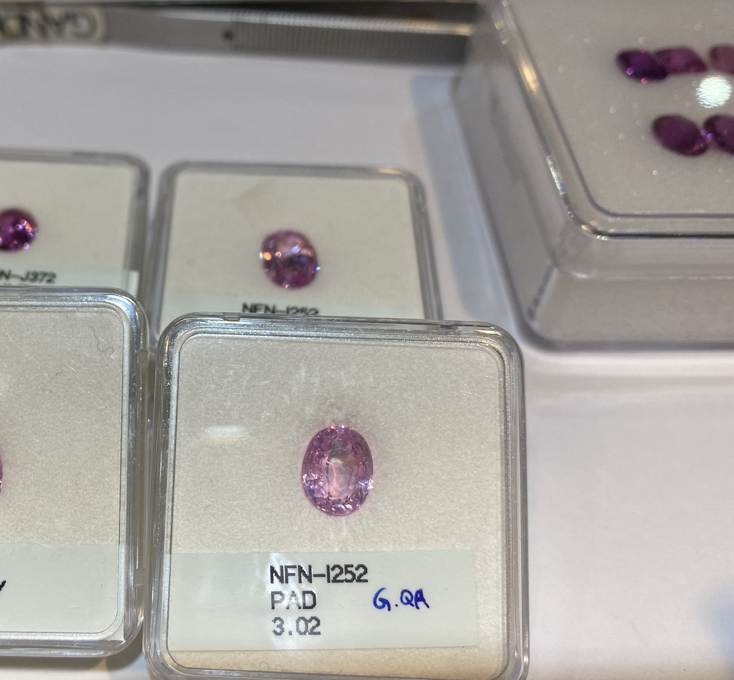 Pale Pink Sapphire hunting.jpg