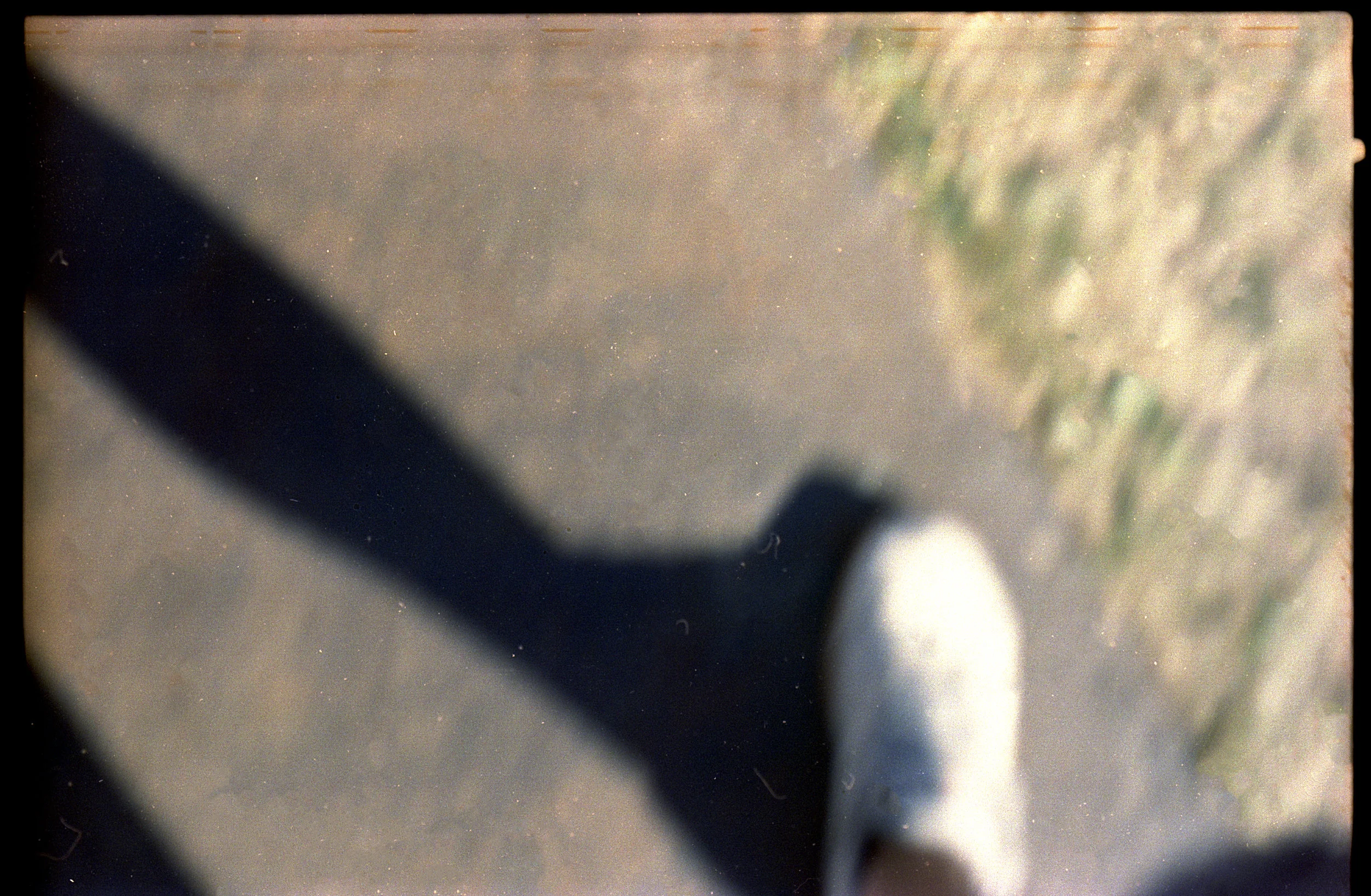 46.jpg