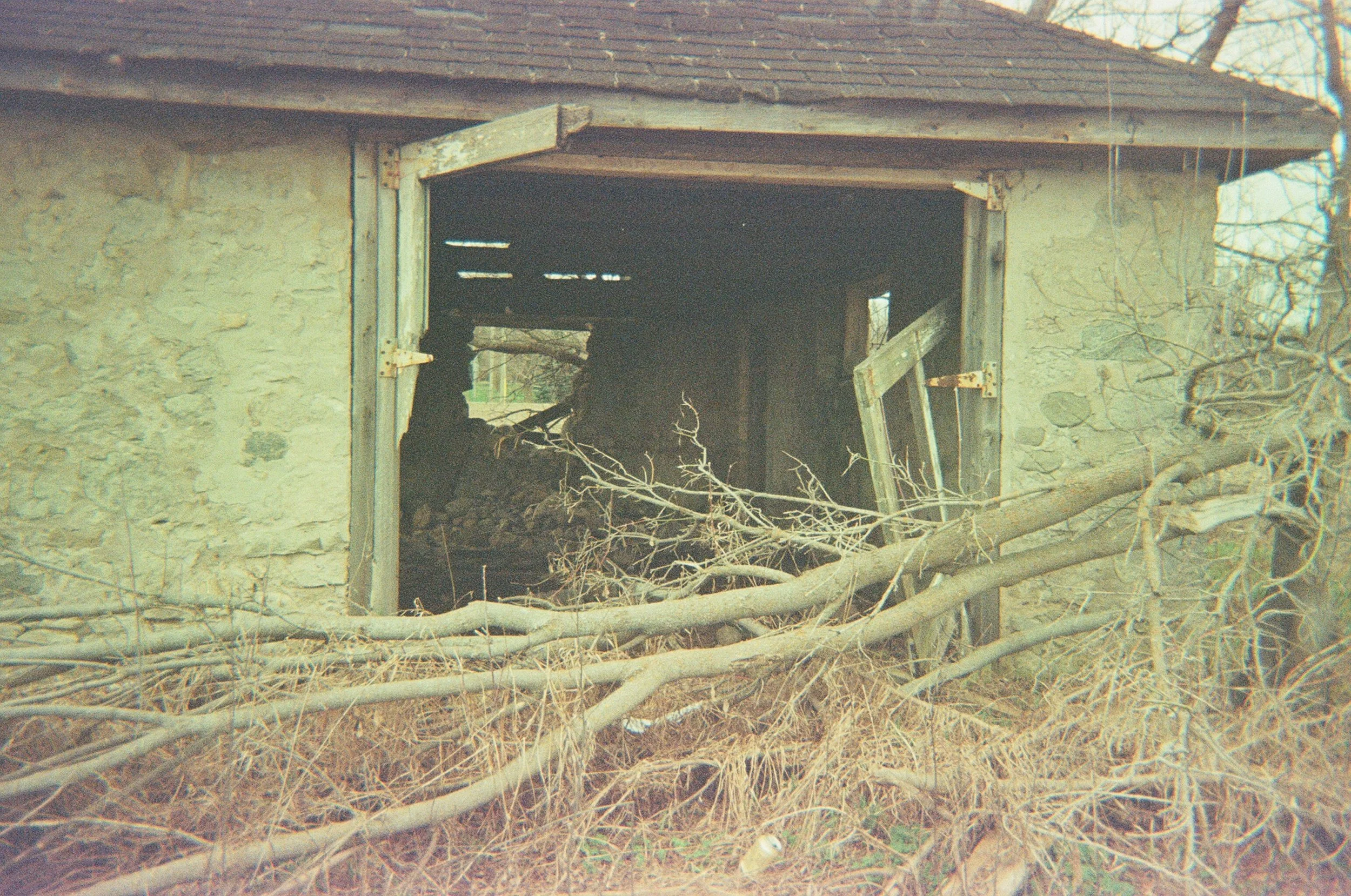 04250021.JPG