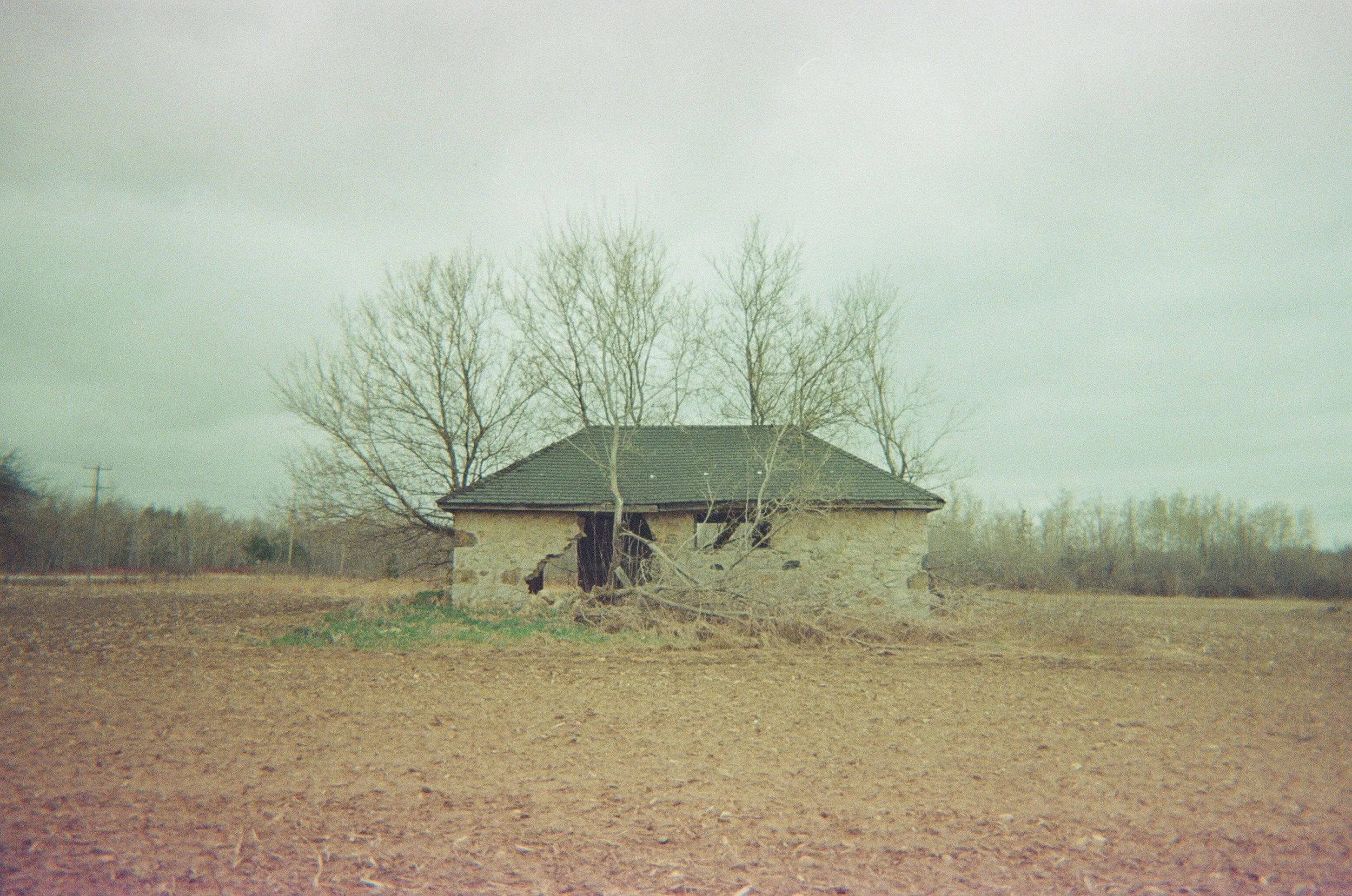 04250022.JPG