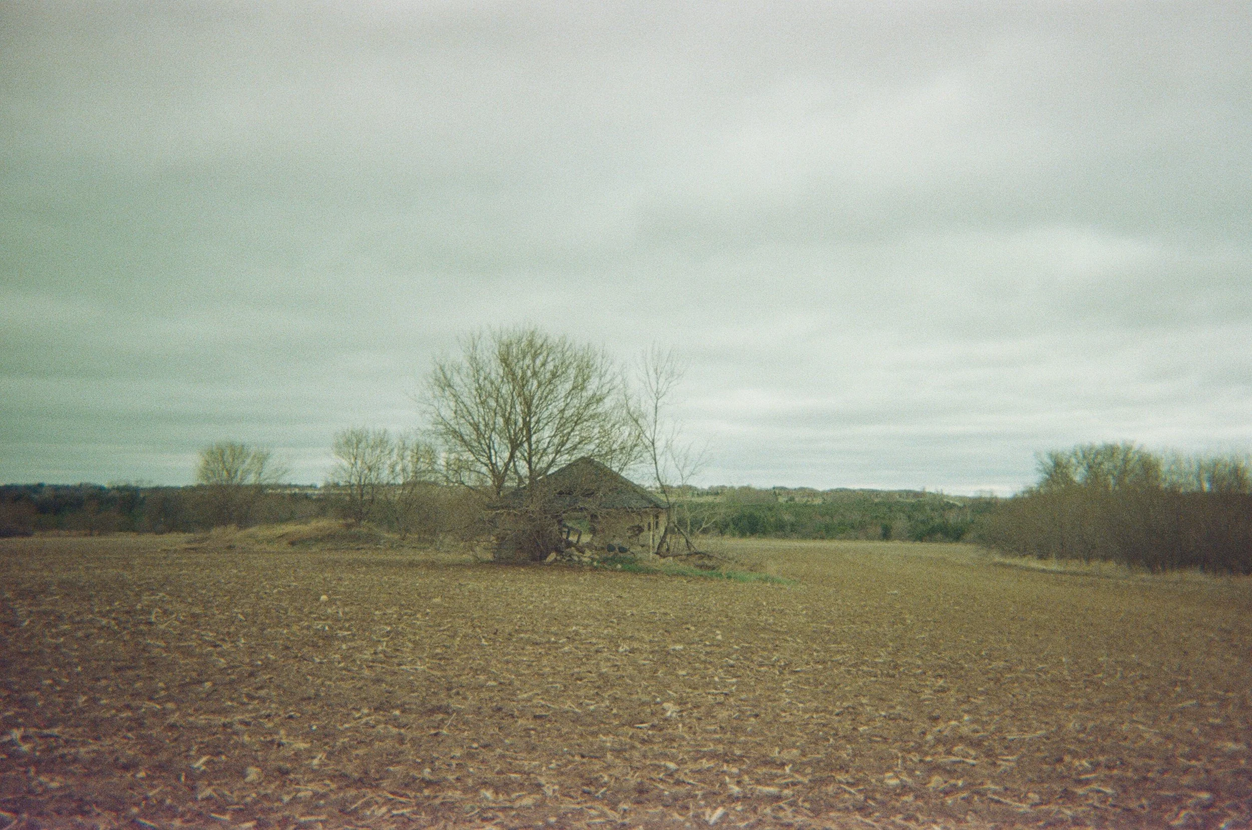 04250024.JPG
