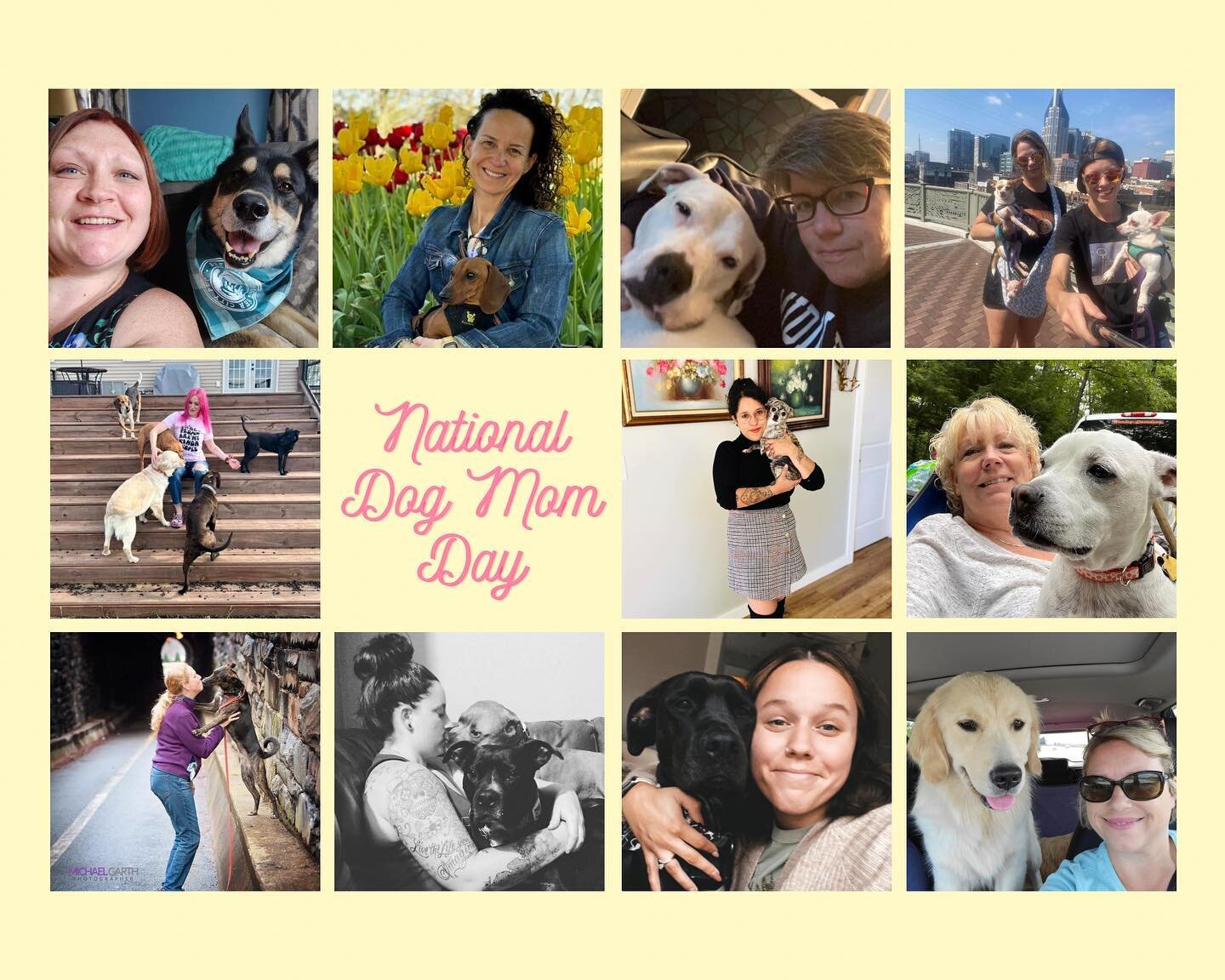 💐Happy National Dog Mom Day to all the dog mamas out there from most of our PHPFP dog mamas!💐 

#nationaldogmomday #adopt #petsarefamily #dogmama #volunteer