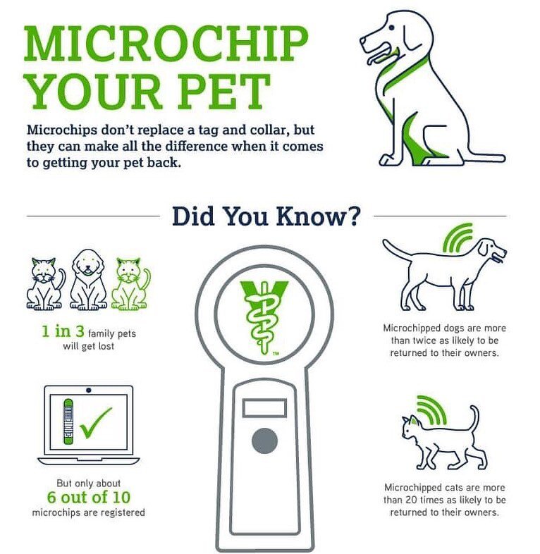 💉 Microchip Monday 💉

👉🏽Less than 2 weeks away! Microchip Clinic time&hellip;Mark Your Calendars! 👈🏻

Open to all - clients &amp; our community!

🐈 Microchips will be no cost to the pet owner - donations of any amount are appreciated but absol