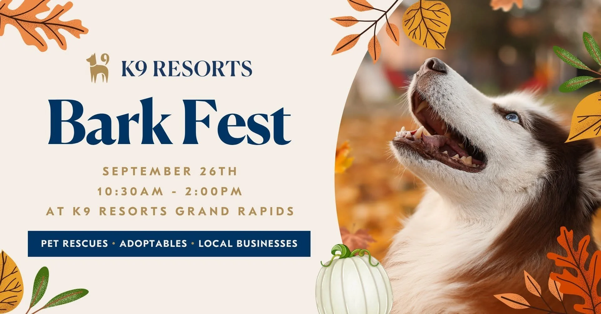 Bark Fest @ K9 Resorts