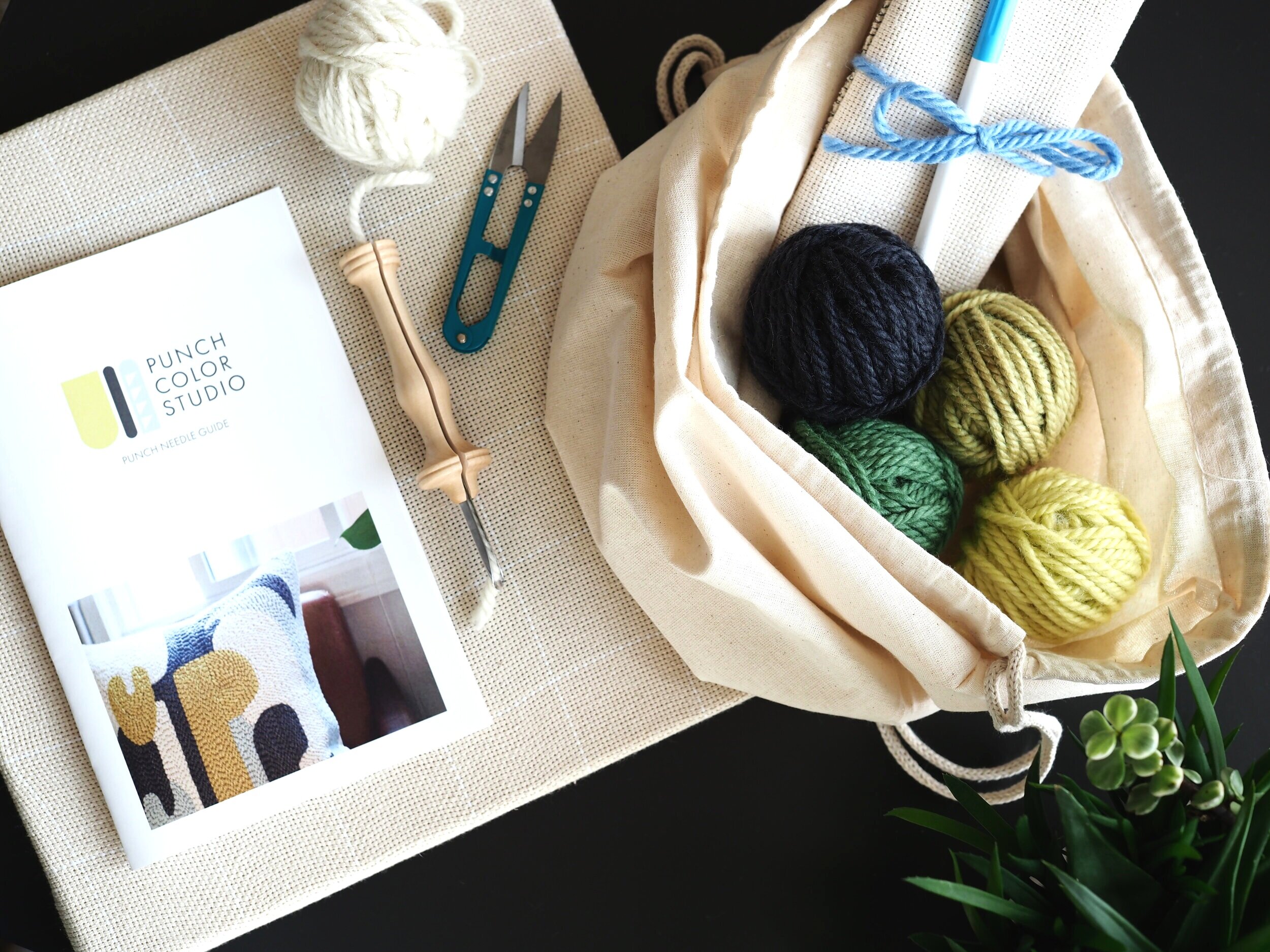 Beginner Punch Needle Kit — Punch Color Studio