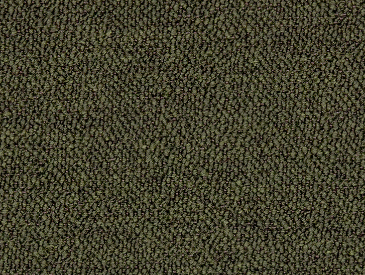Screen Shot 2023-08-12 at 12.01.23 PM.png