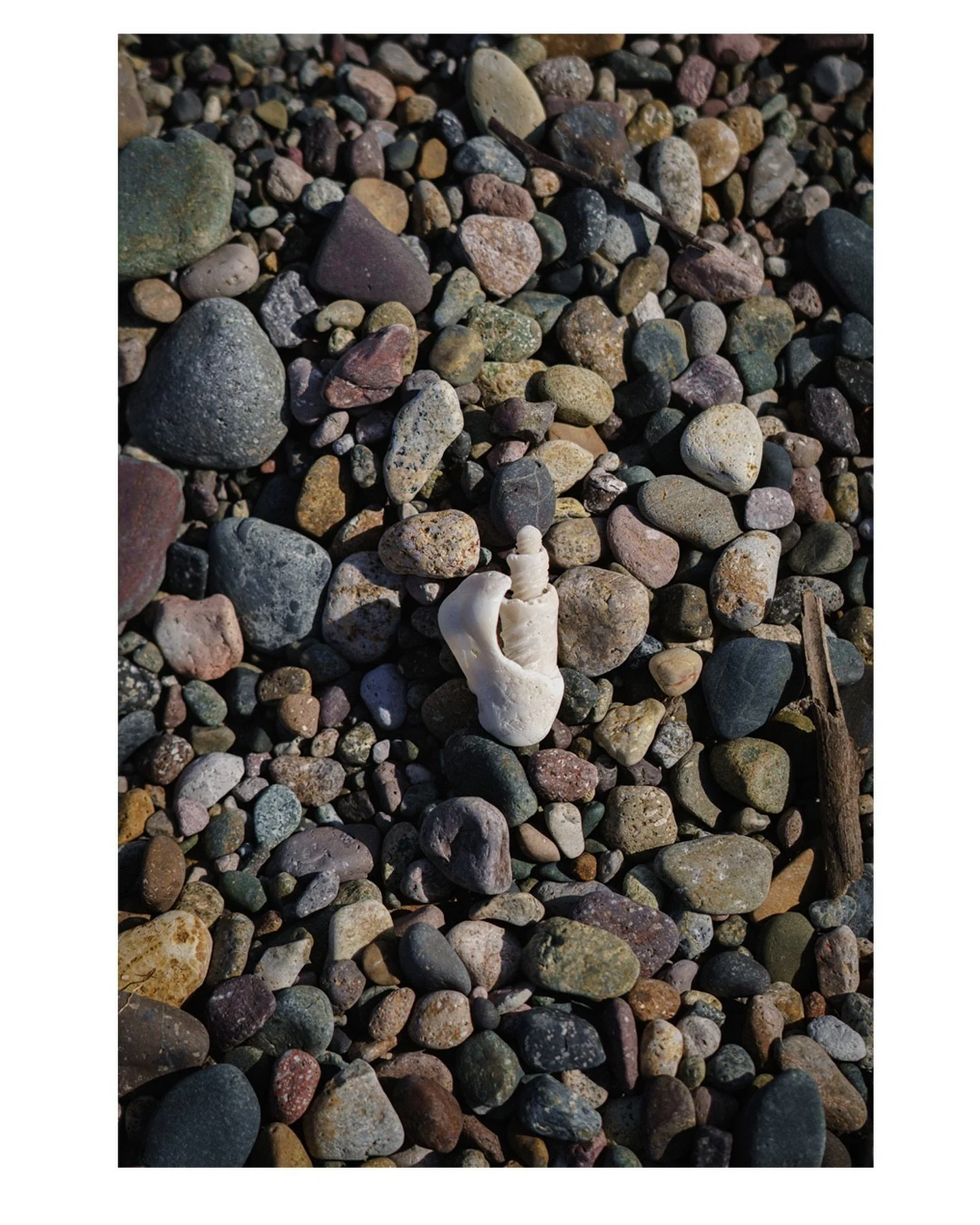 Sinaloa Shores&hellip;.
Part 1