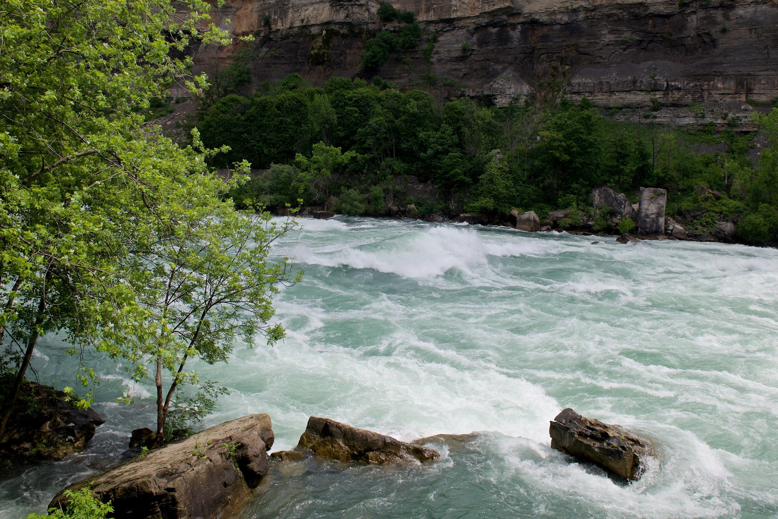 DSC_3763.jpg