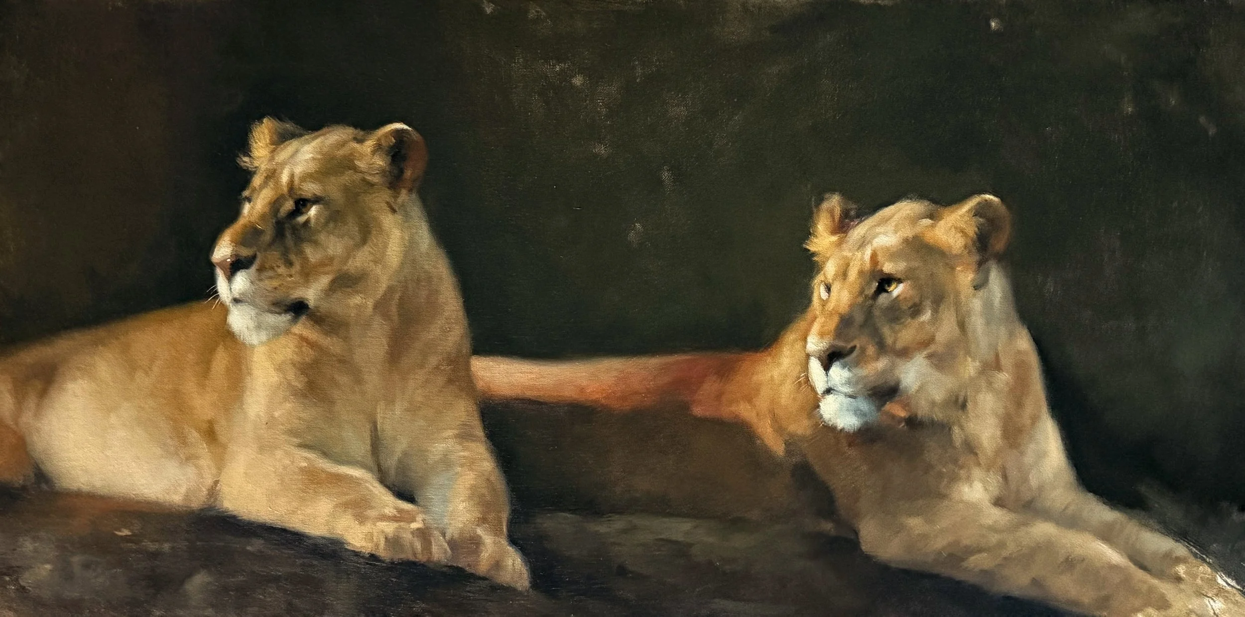Painting of two lions resting against a dark background, one lioness turned to the side and the other lioness looking forward.