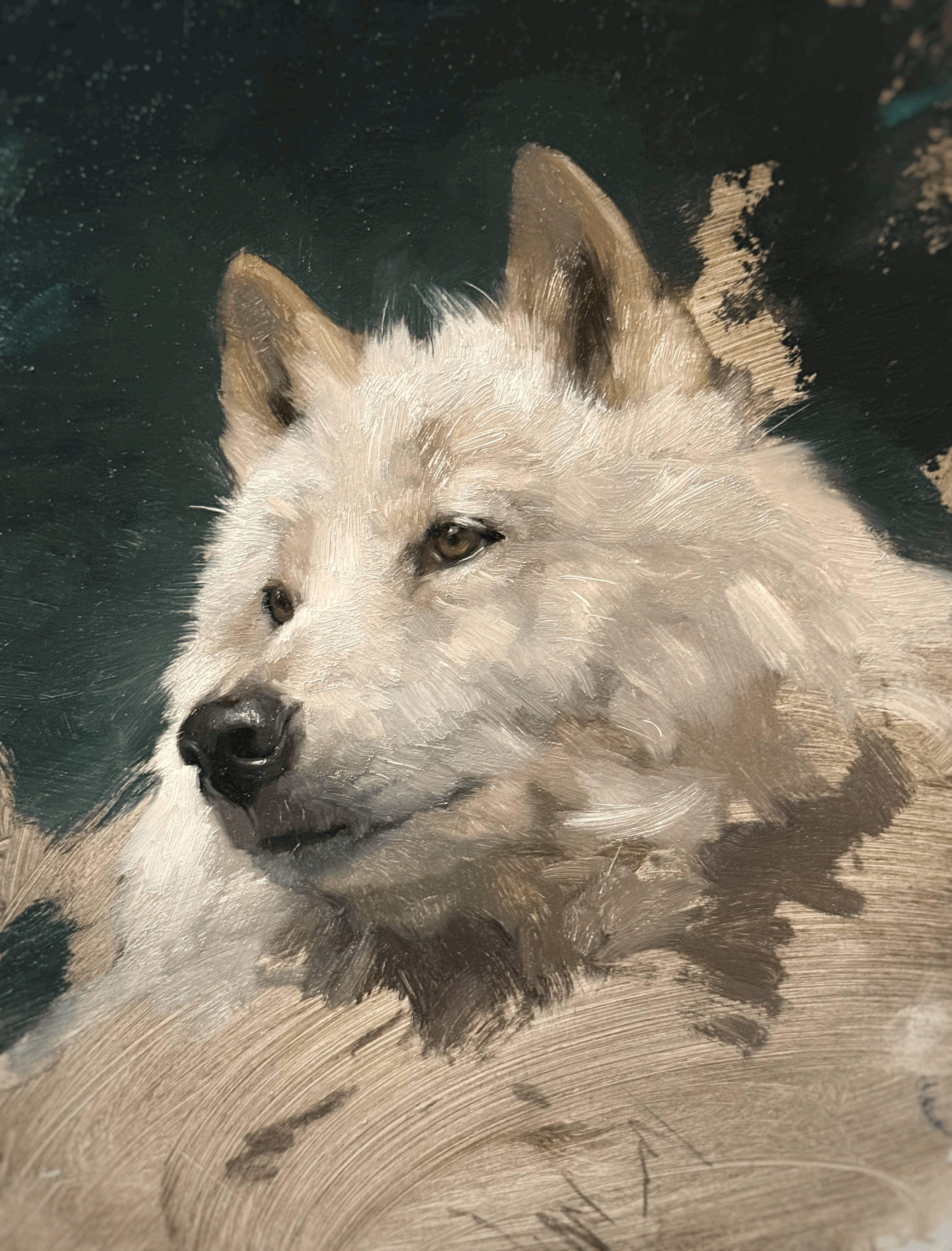 tempImageiq47iJ.gif