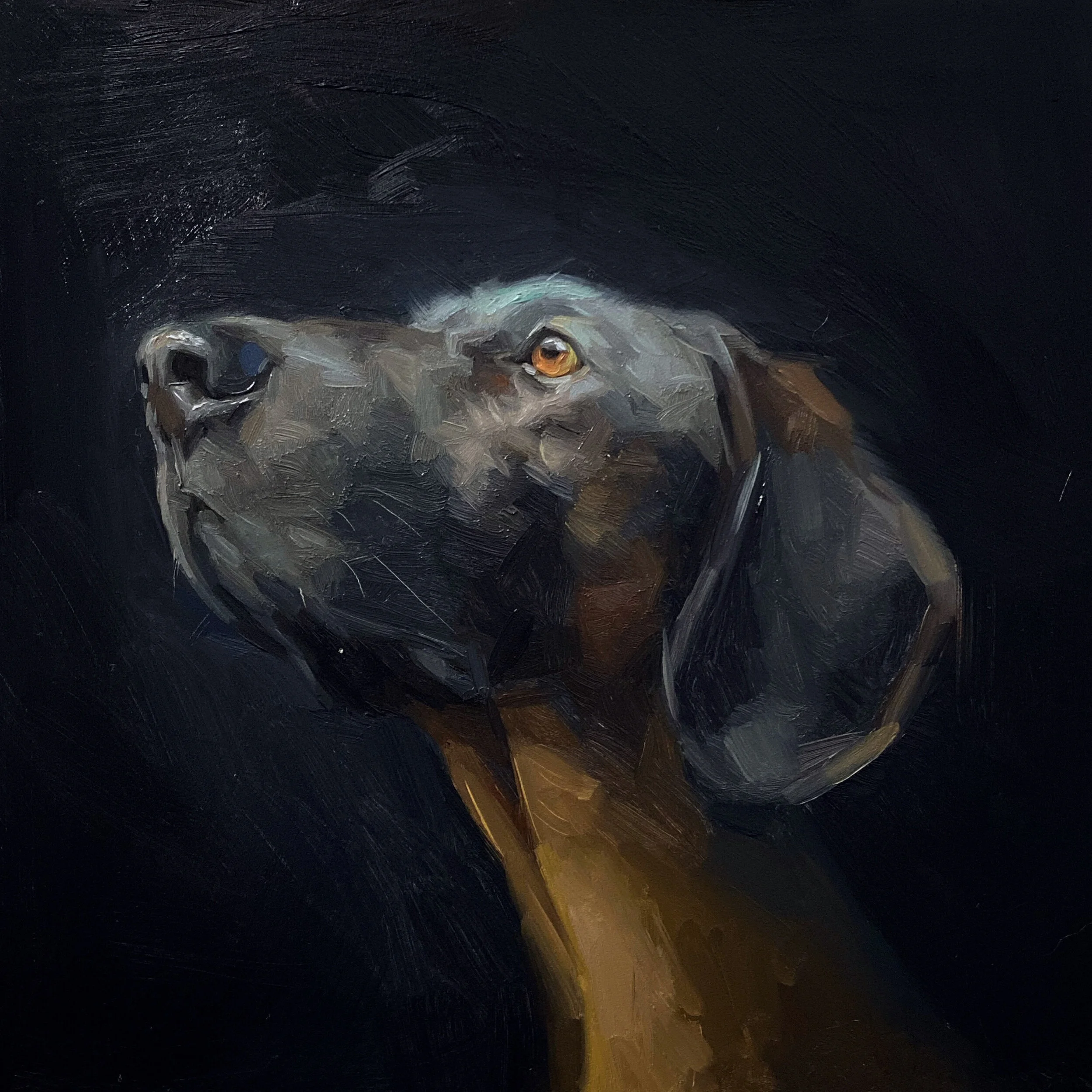 350FF1E2-10CA-4FB3-B7AC-9FDFAFF1314A 2.JPG