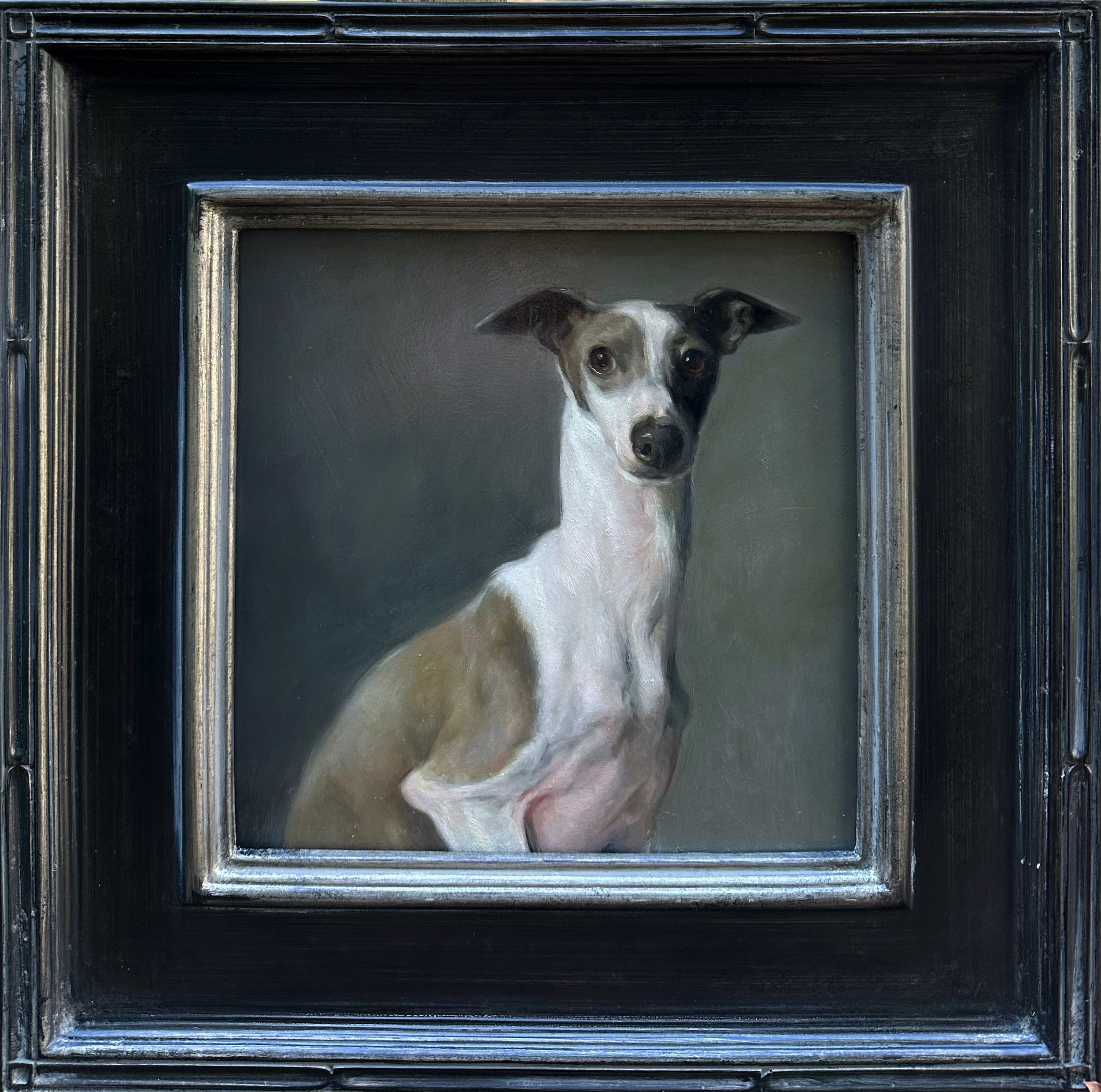Greyhound No.2