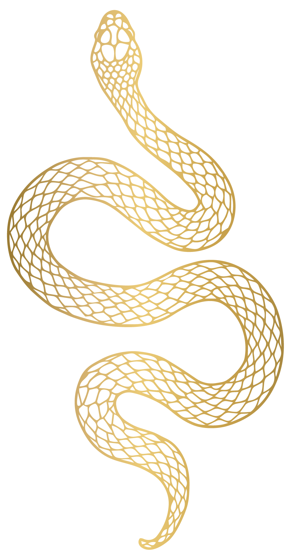 Blurred golden perfume bottles with labels, on a black background.