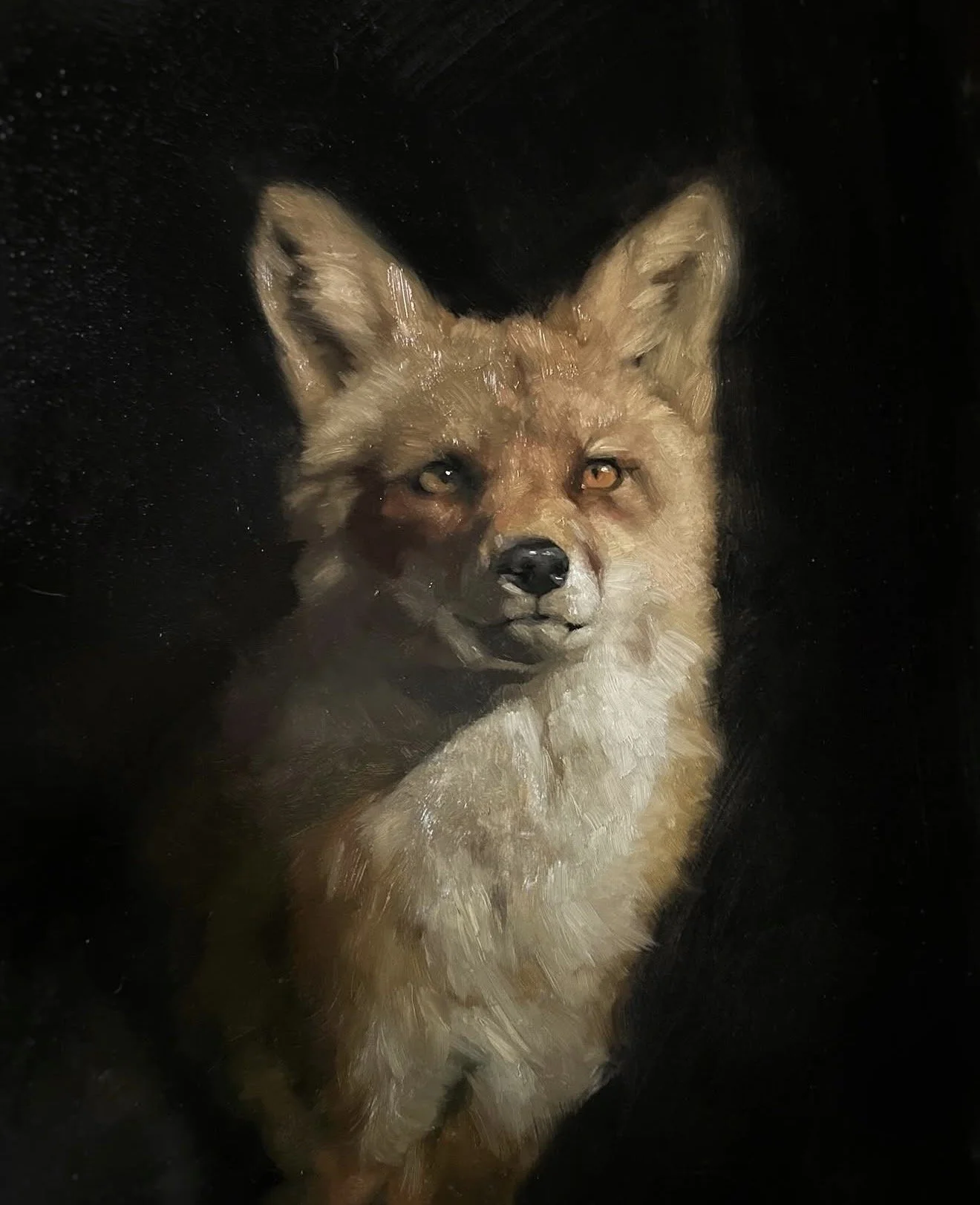 A portrait of a mixed breed dog with tan and black fur, standing against a black background, with large, upright ears and piercing amber eyes.