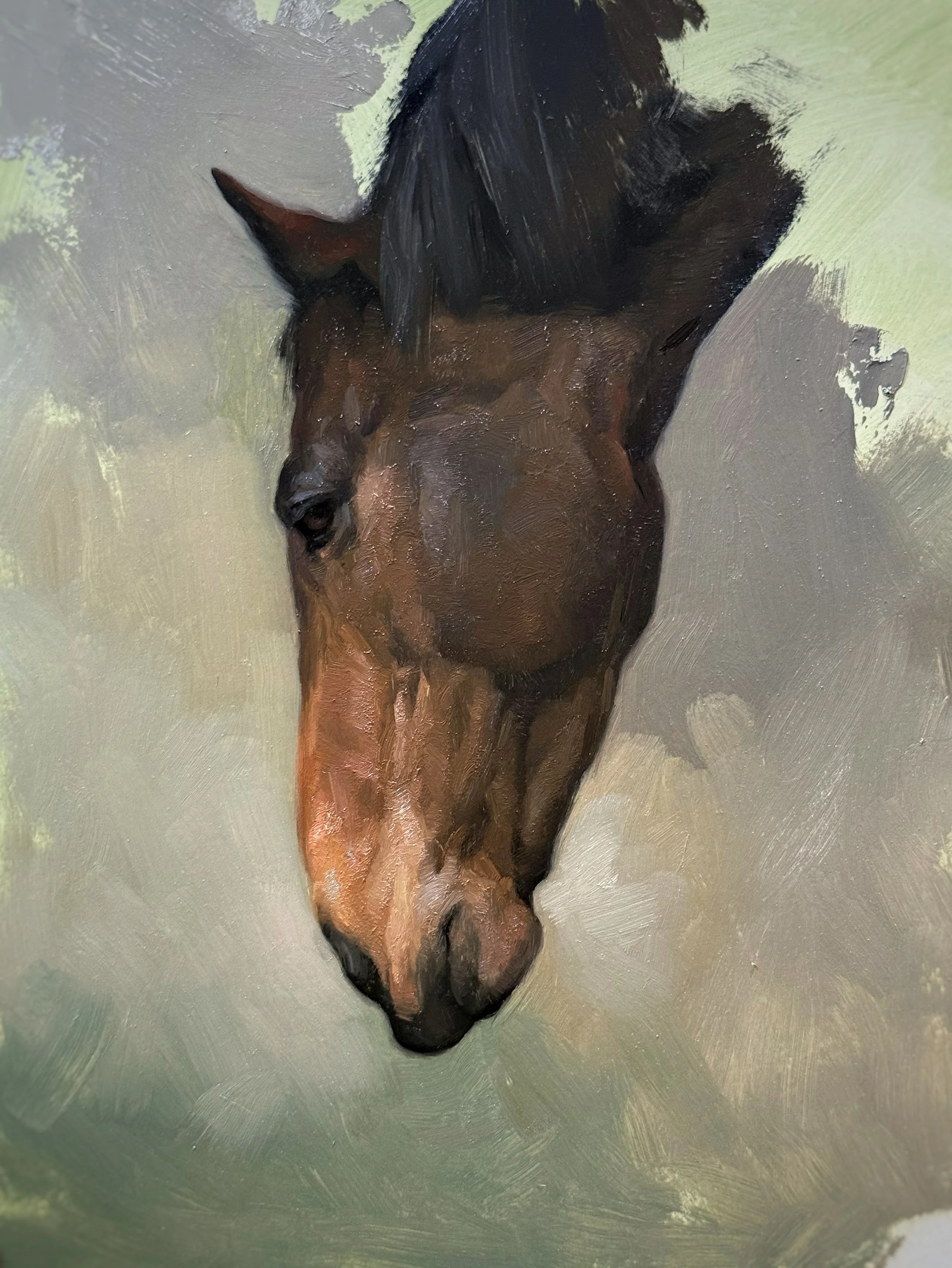 Horse Study