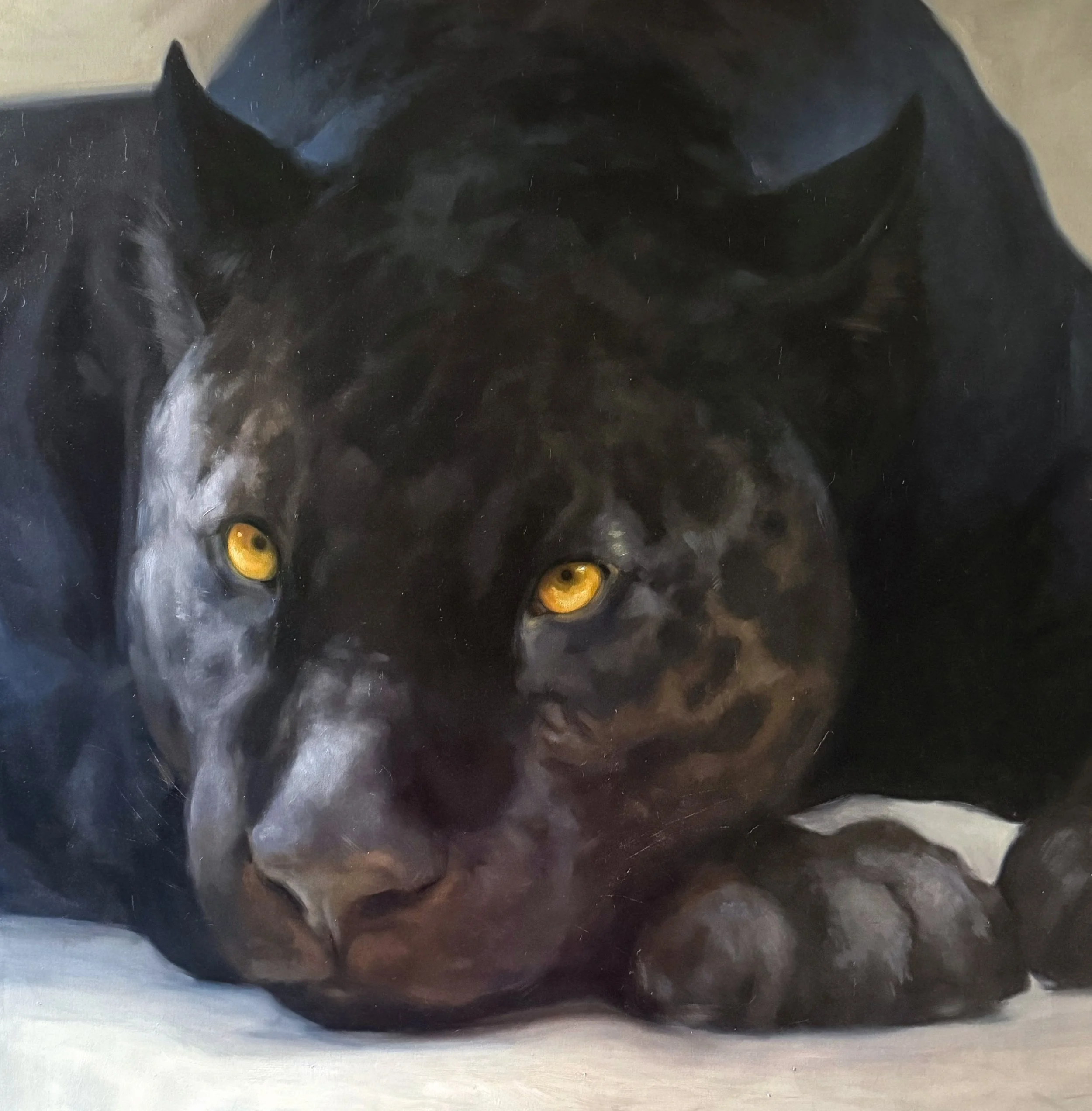 Close-up of a black cat's face with yellow eyes, focusing on the eyes and fur texture.