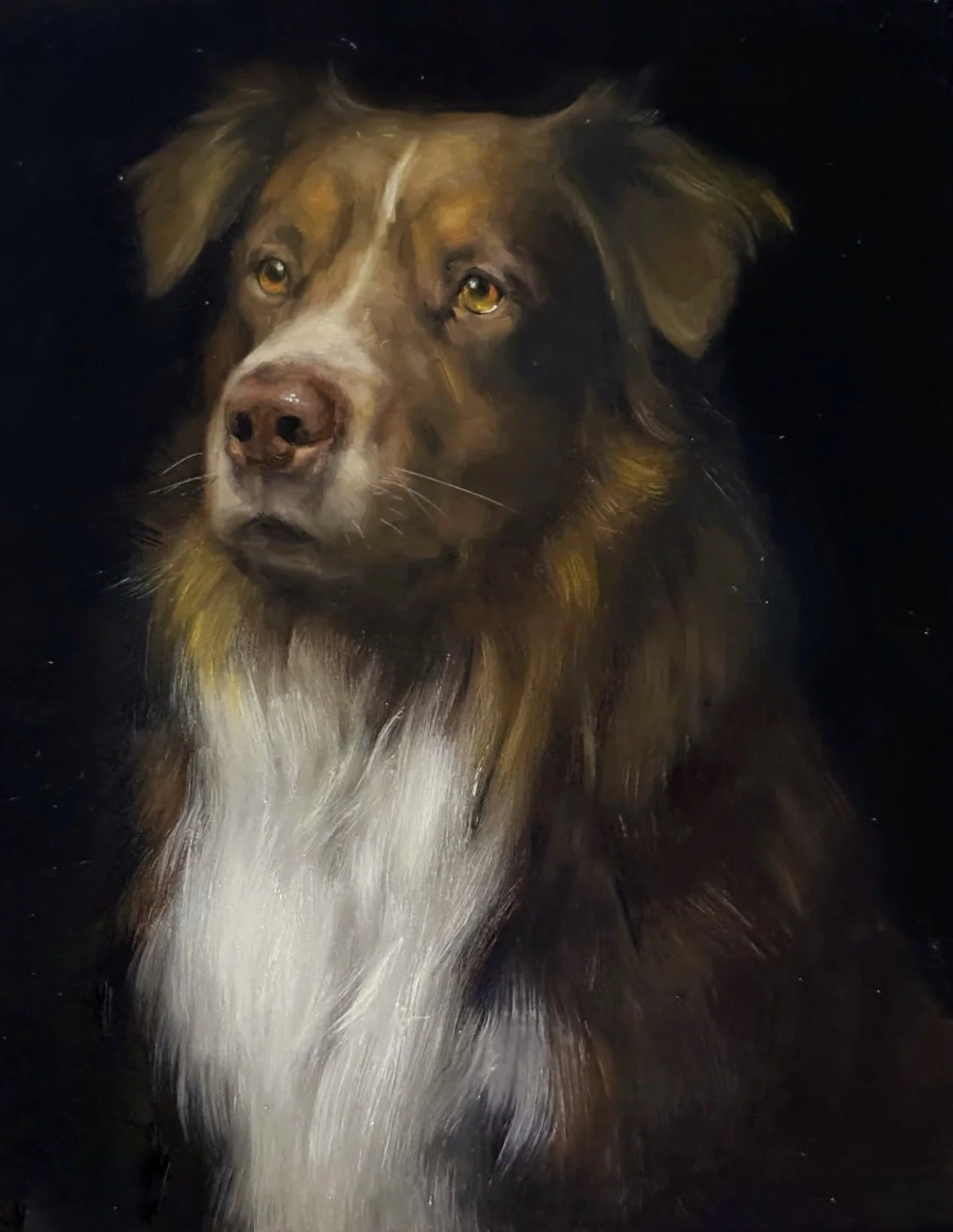 Painting of a brown and white dog, possibly a border collie, with piercing yellow eyes, on a dark background.