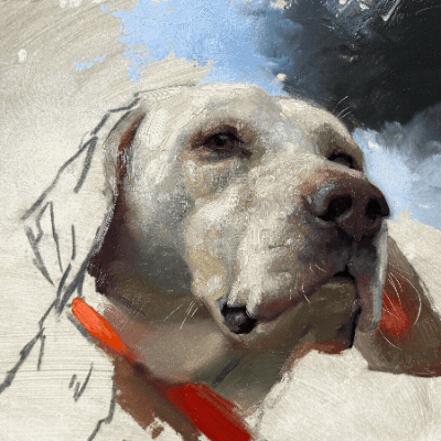 Close-up of a dog with a light-colored coat and a red collar, lying on grass with a blue sky background.