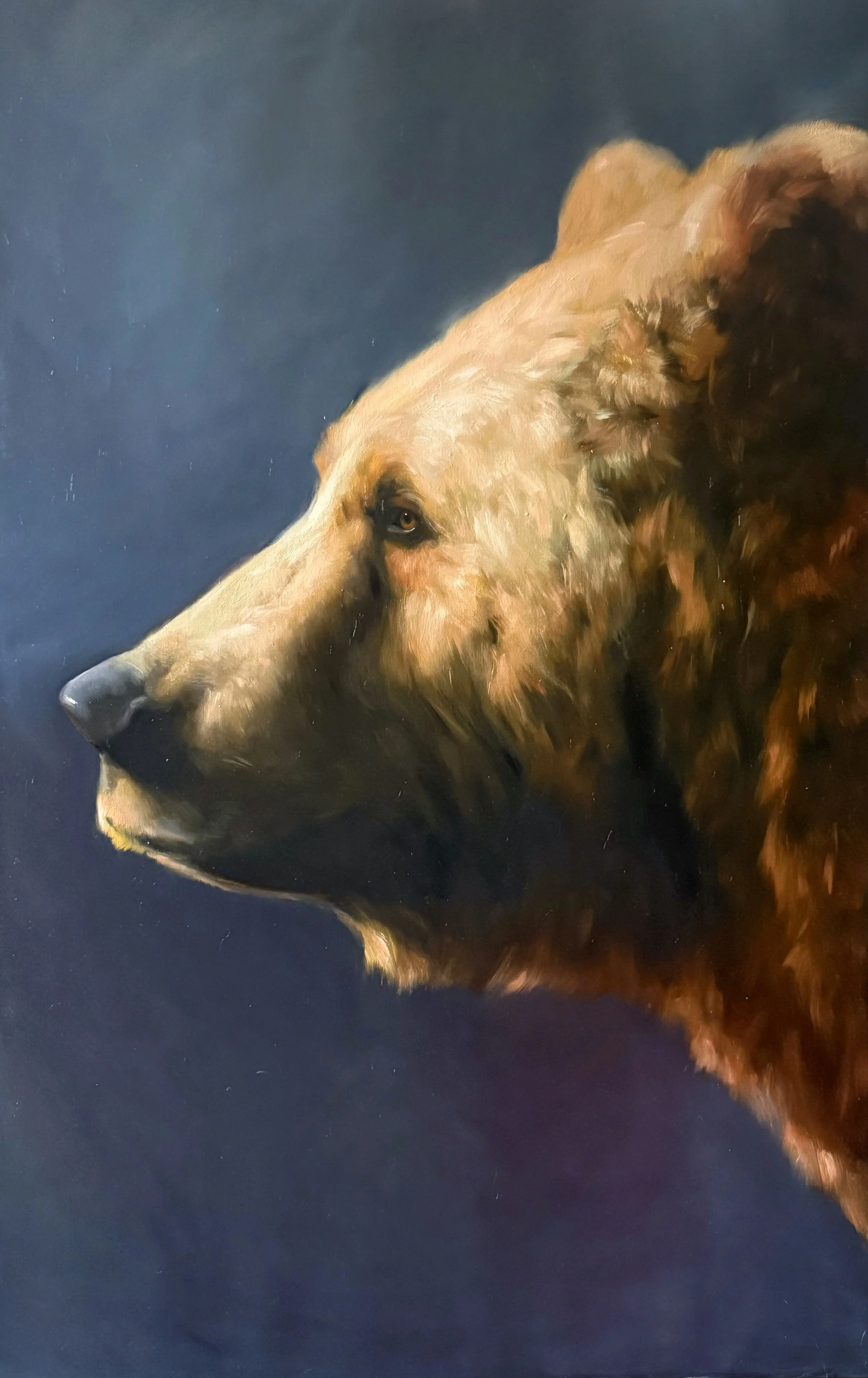 A realistic painting of a bear's head in profile against a dark background.