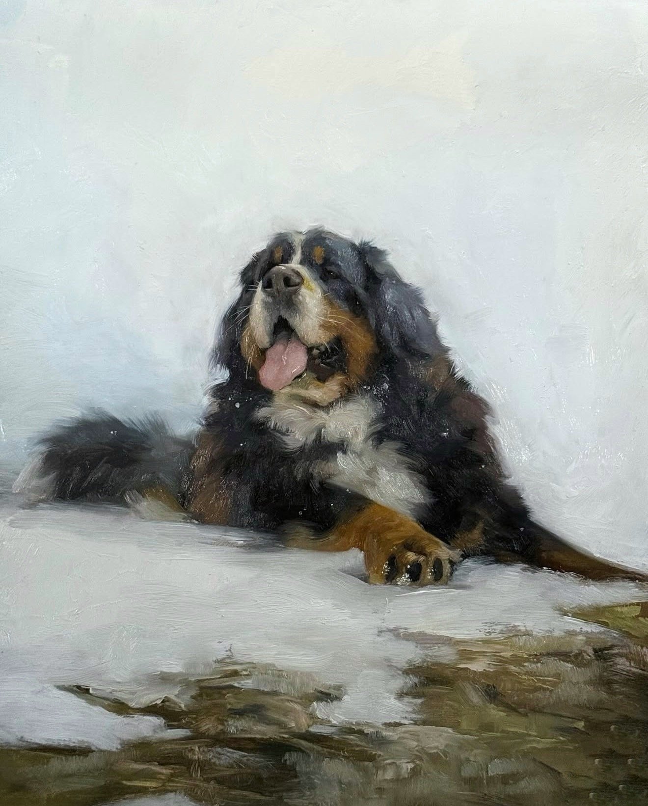 Painting of an Australian Shepherd dog lying on the ground with its tongue out, in front of a plain white background.