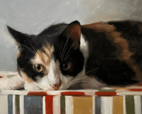 A calico cat lying on a colorful tiled surface, looking at the camera.
