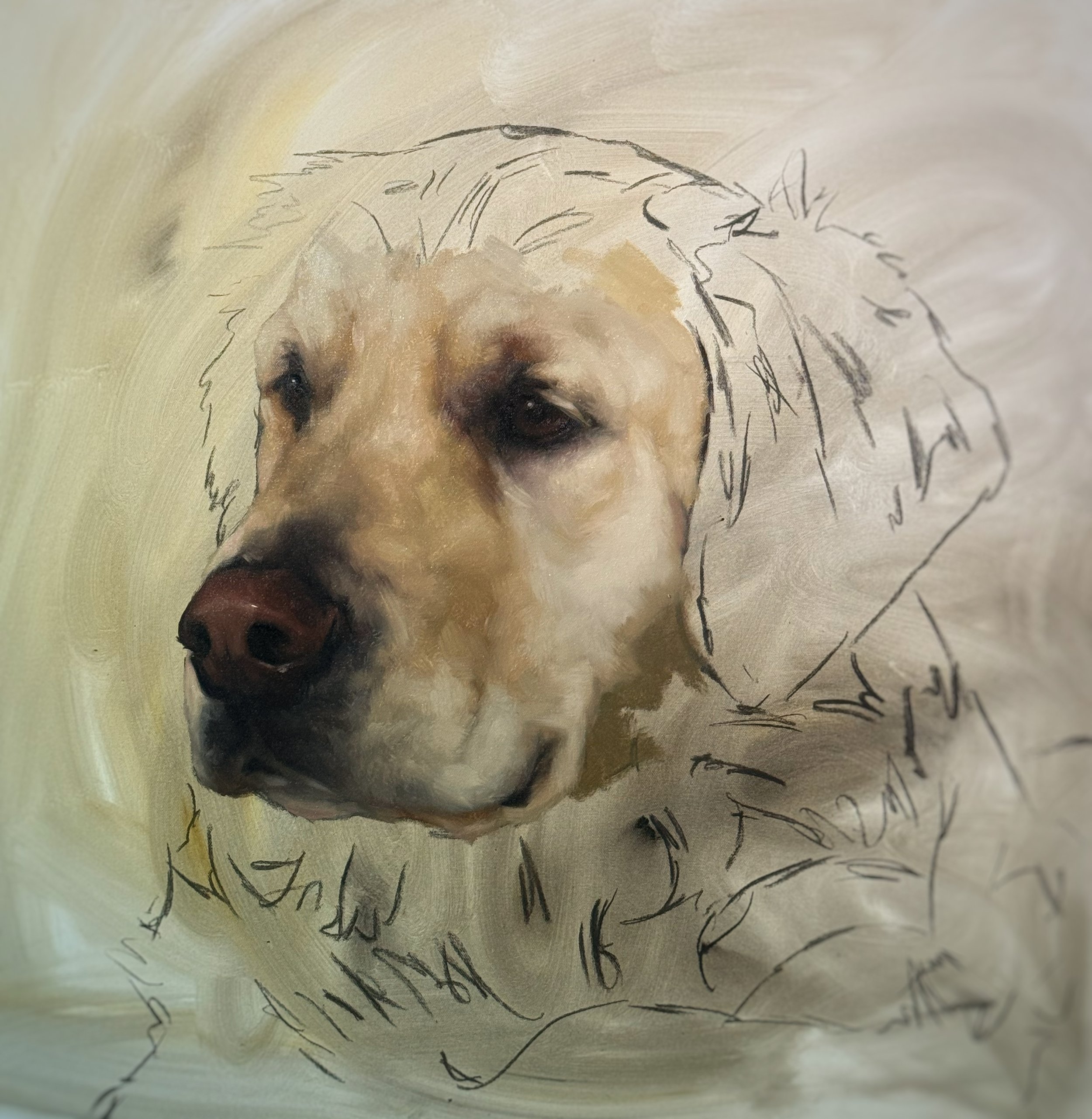 A hand-drawn sketch of a dog with expressive eyes and fur details, surrounded by handwritten text and sketchy lines.