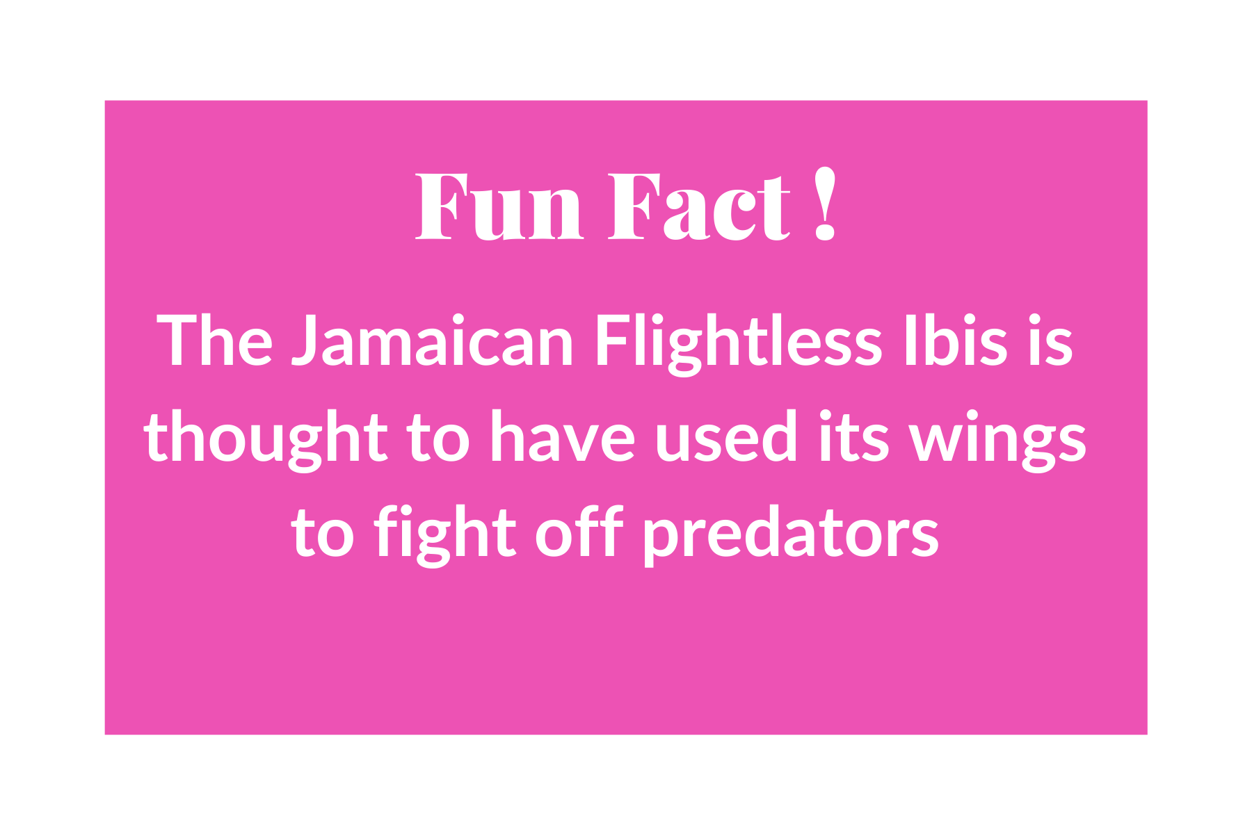 Fun Facts (10).png