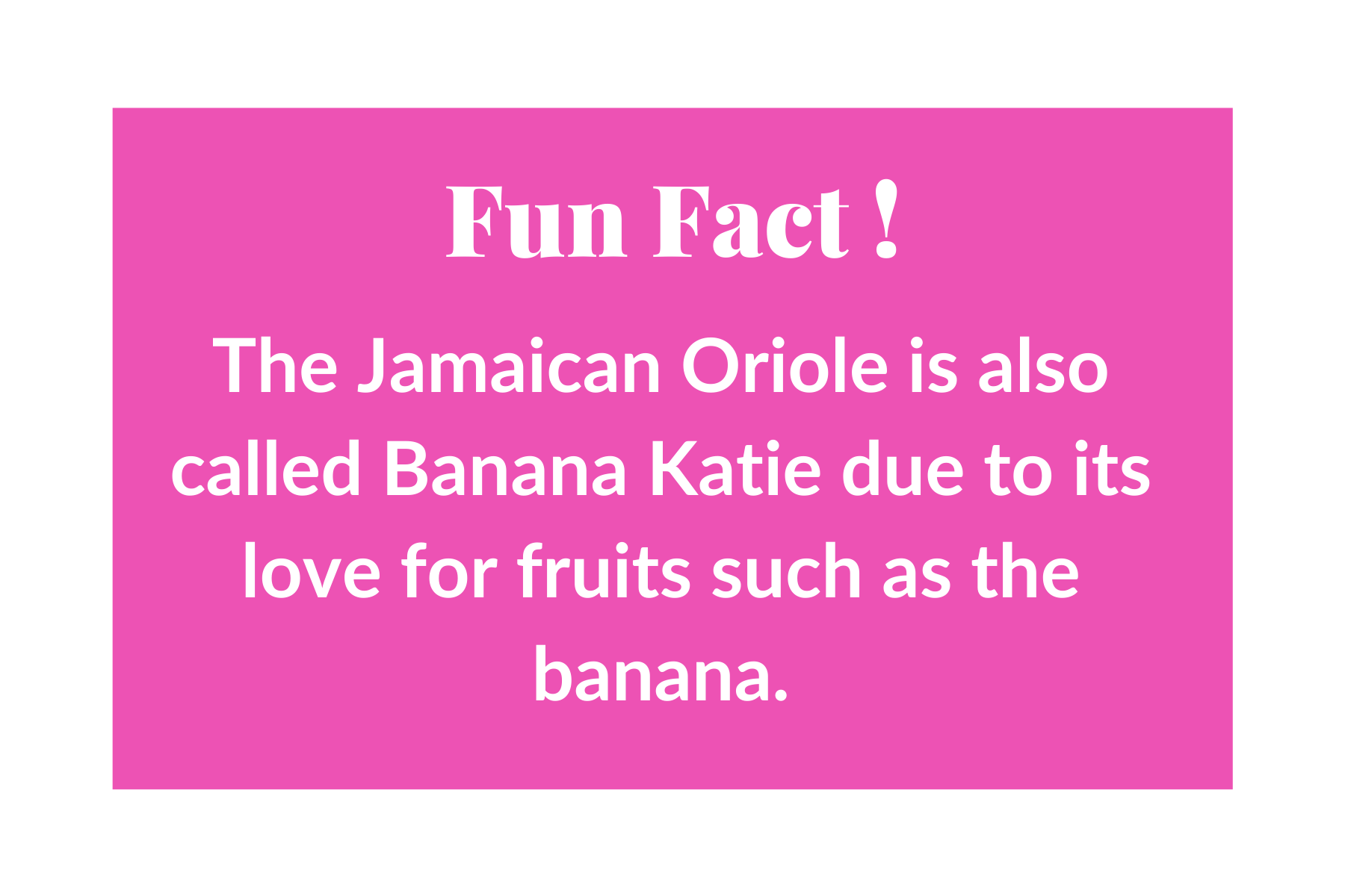 Fun Facts (13).png