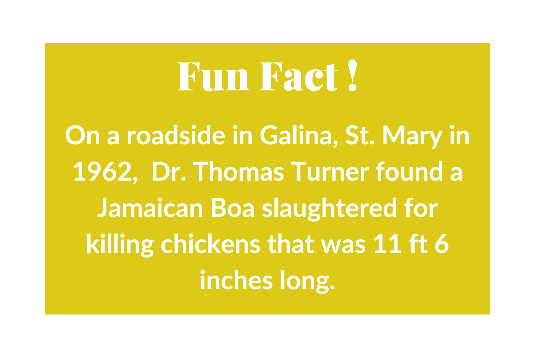 Fun Facts (15).png