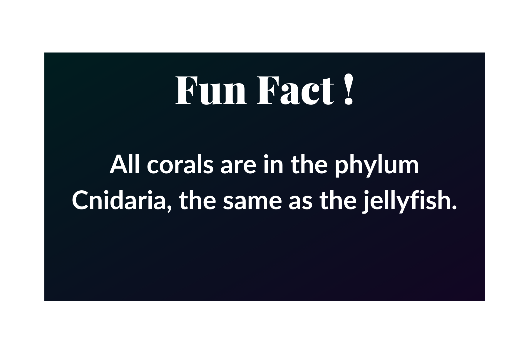 Fun Facts (16).png