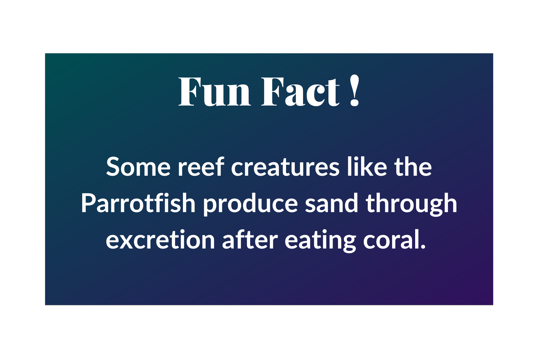 Fun Facts (17).png
