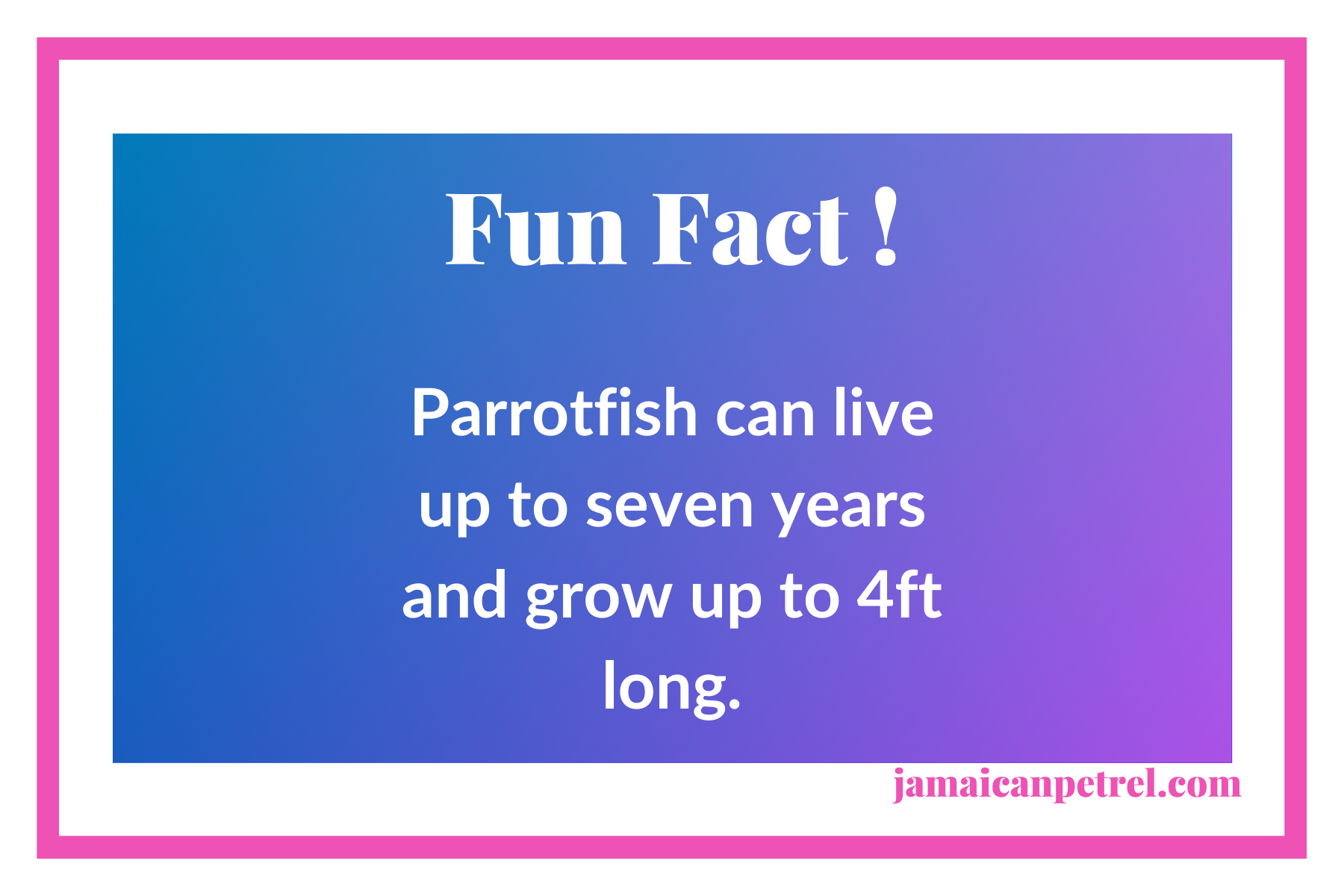 Fun Facts (5).png