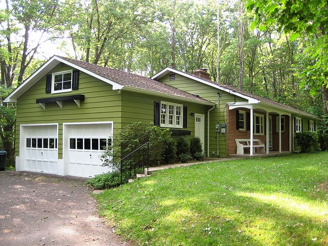 green and white with tree cover.jpg