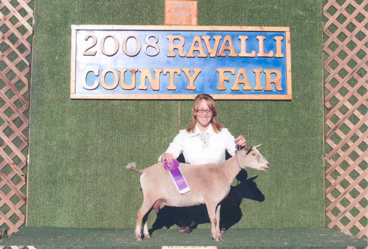 2008 4-H fair show Grand Champion Showmanship 