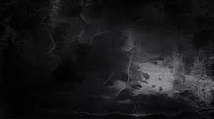 images (7).jpeg