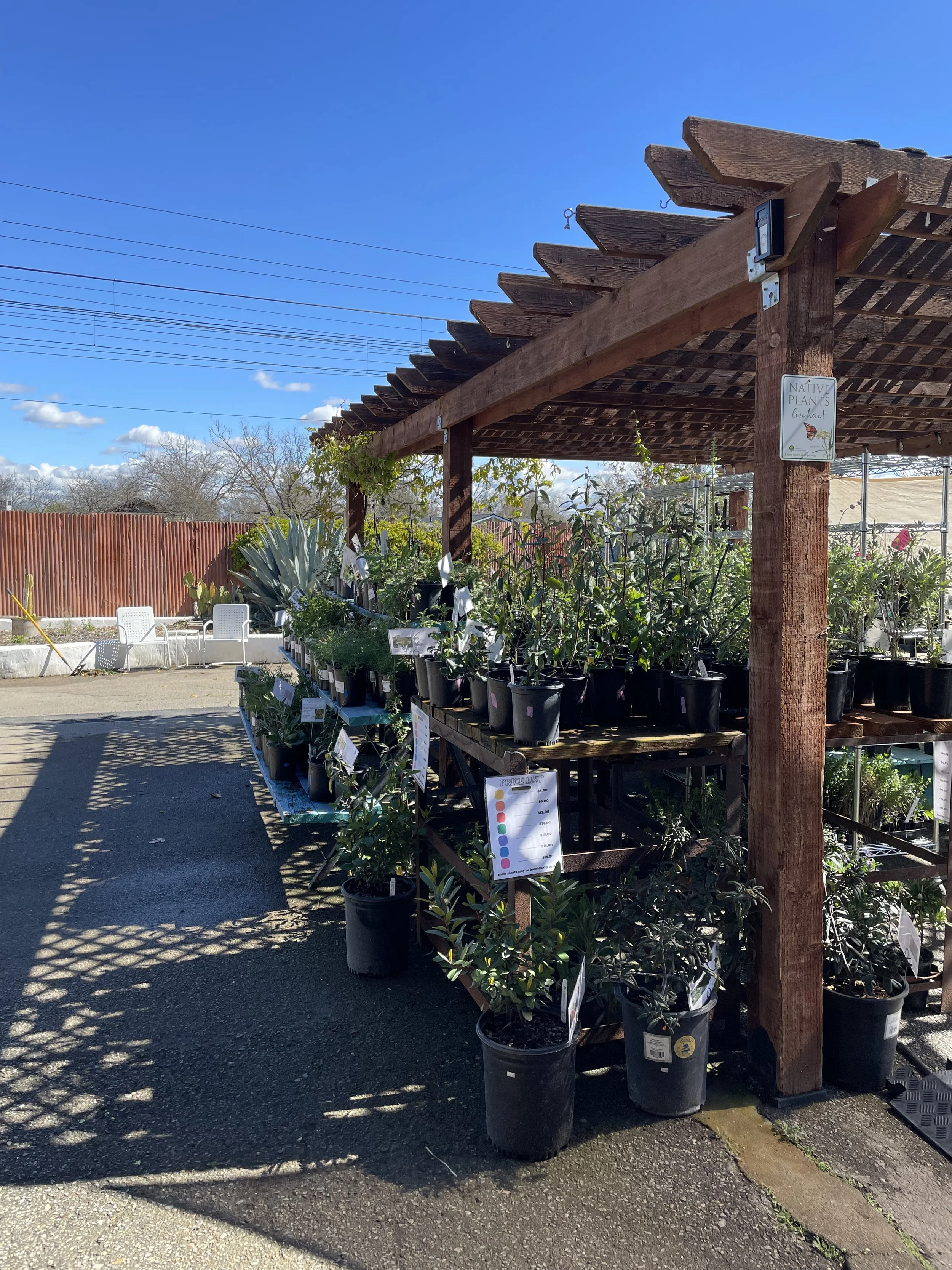 Courtyard Fundraiser