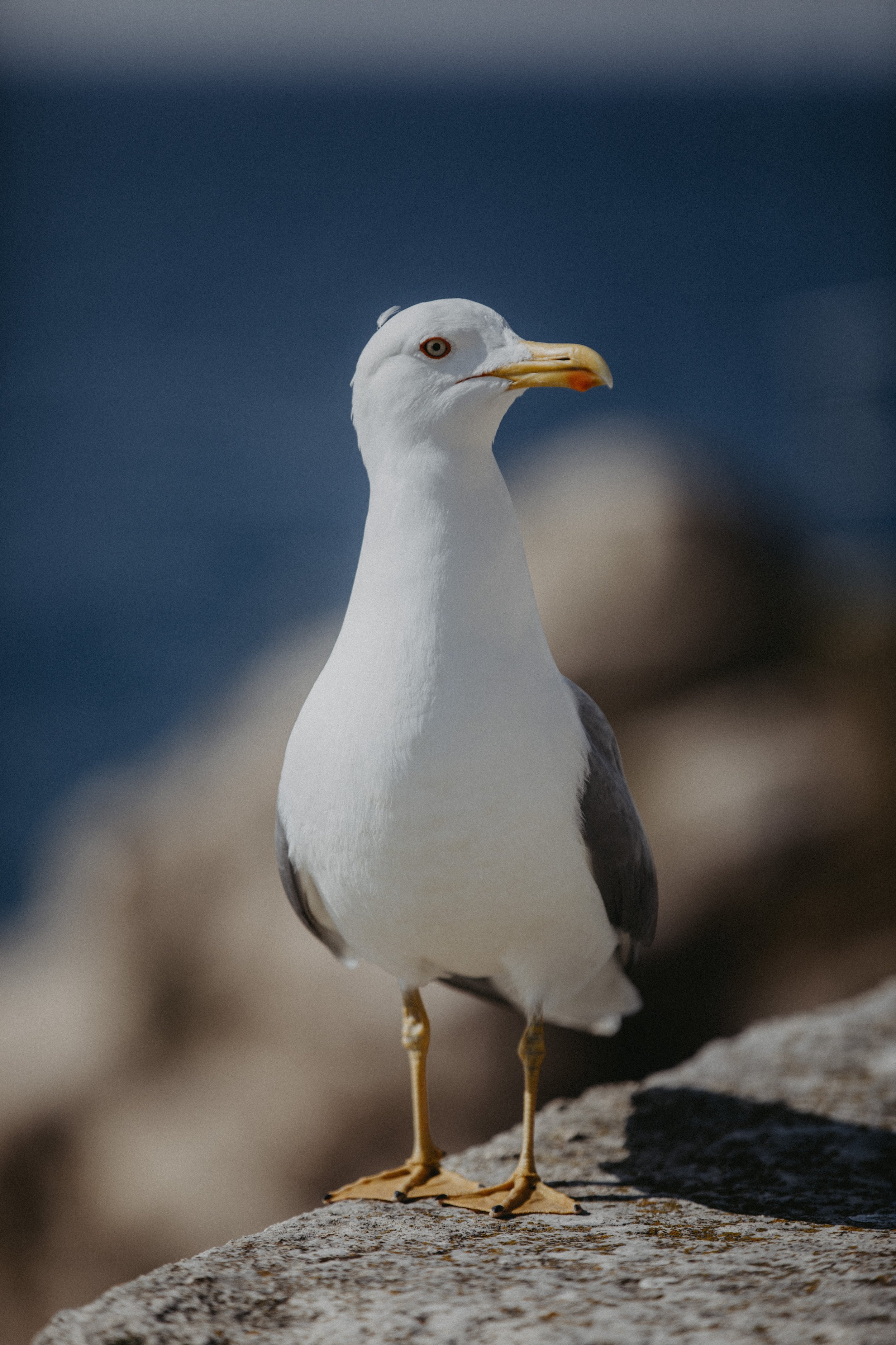 0044_herzmomenteFotografie_WMUC_Rovinj.jpg