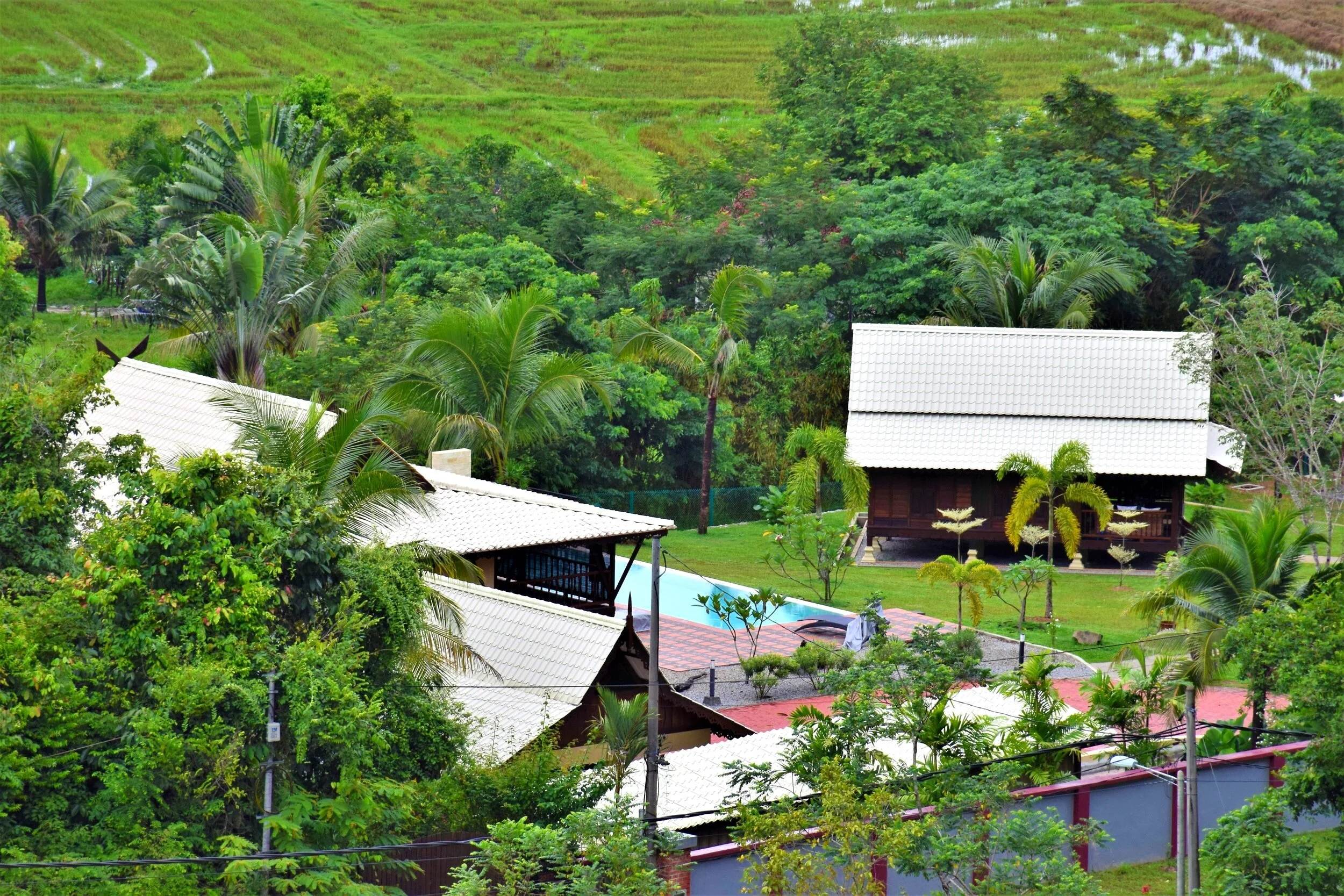 Green surroundings.JPG