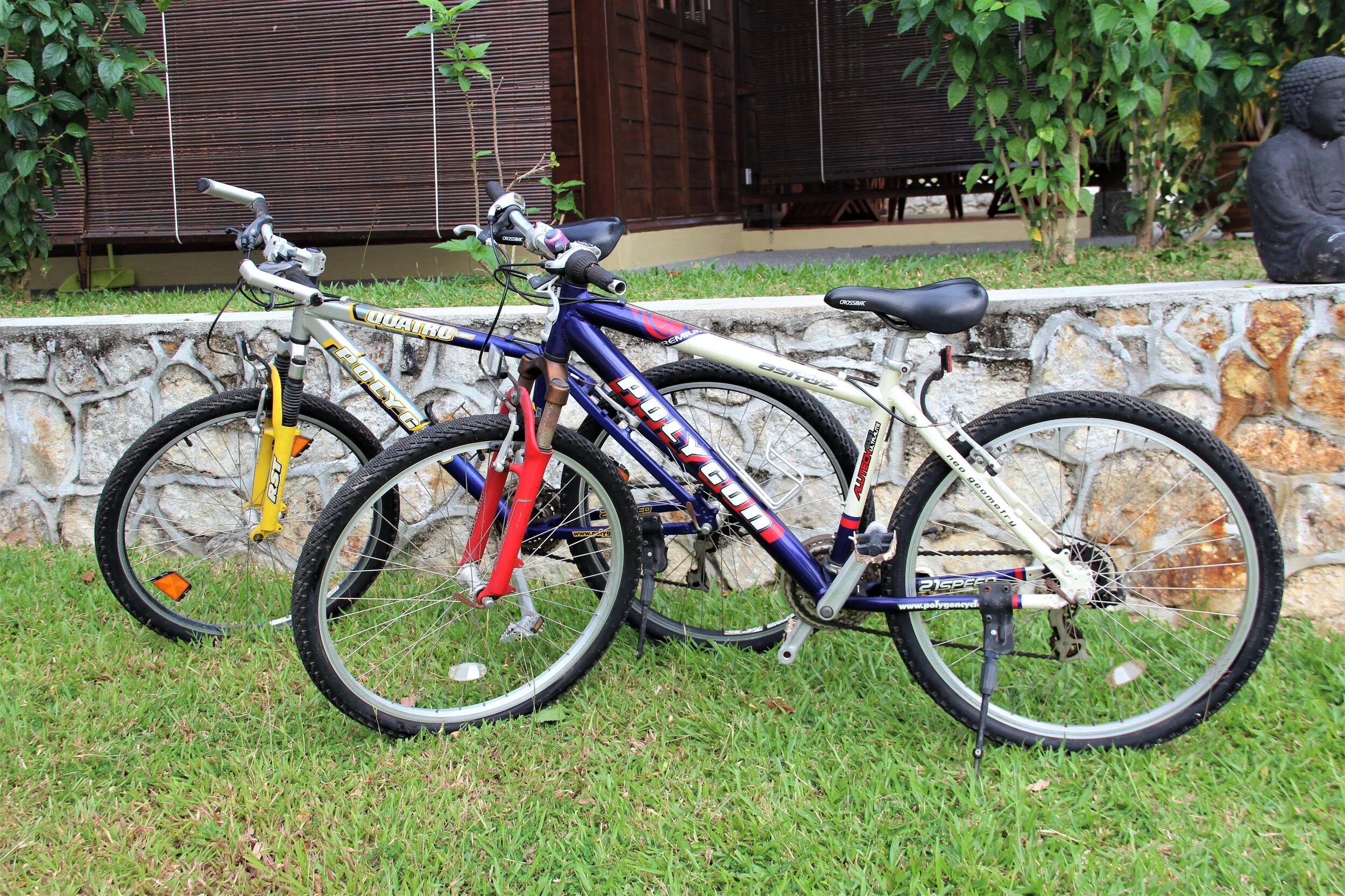 Bicycles (2).JPG